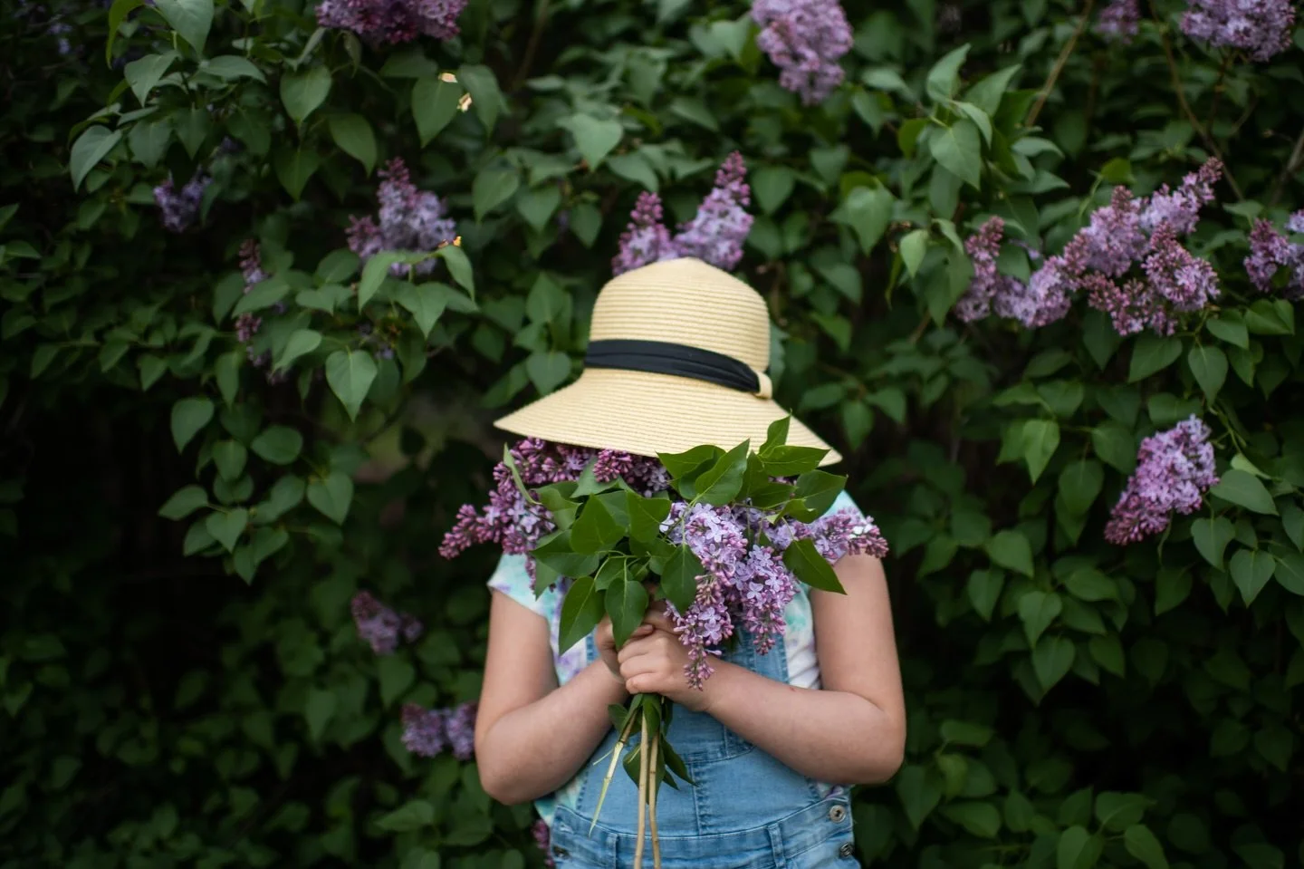 Coming back into this space after a break always feels a little weird. And I took my time but things are needing to be shared and I have procrastinated long enough. I have some travel dates or destinations coming up and I know there are some wonderfu