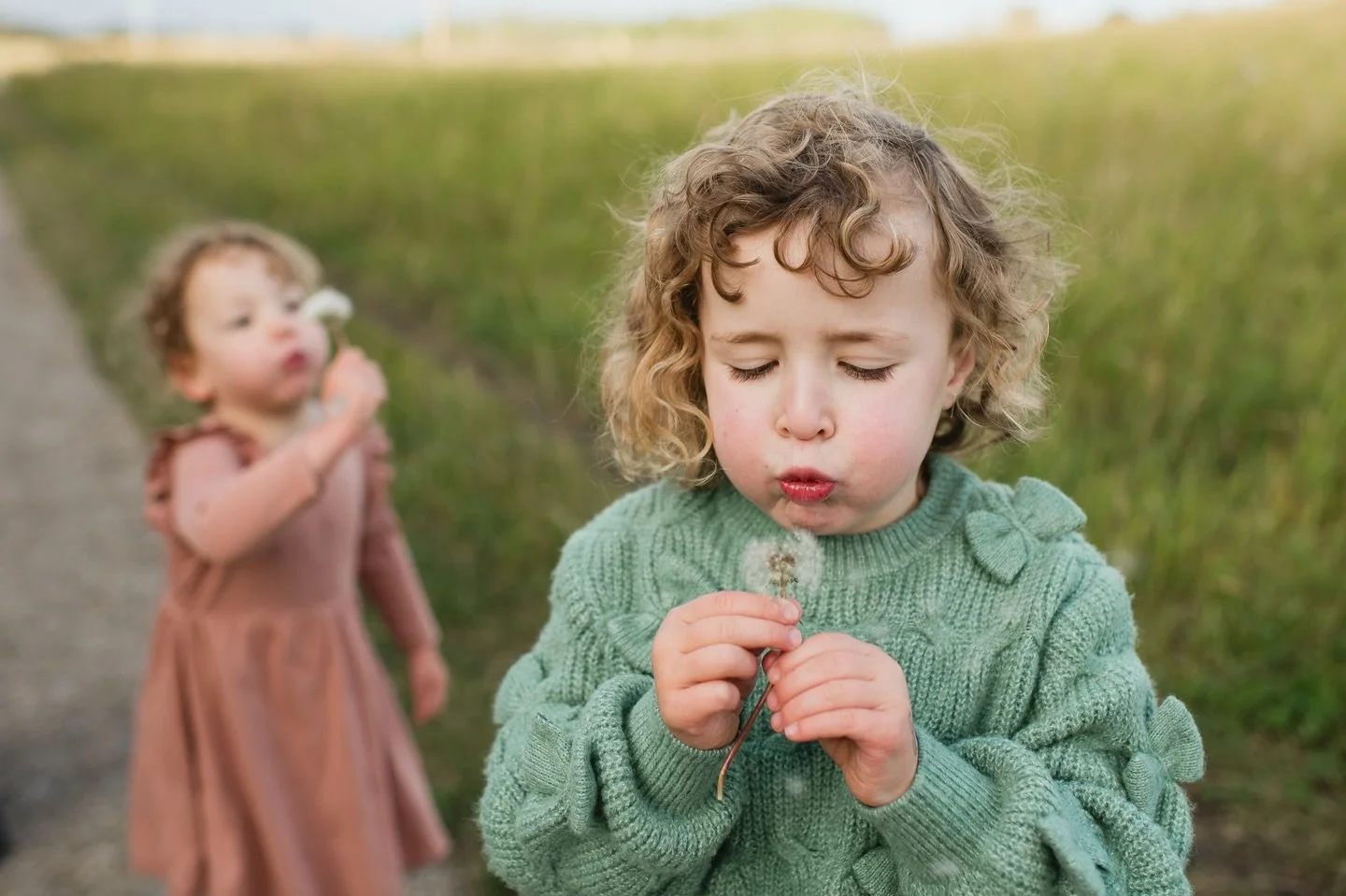 Just popping in here to say that spring will show up. I promise 😂. And it is never too early to schedule that spring/summer session before the days fill up.