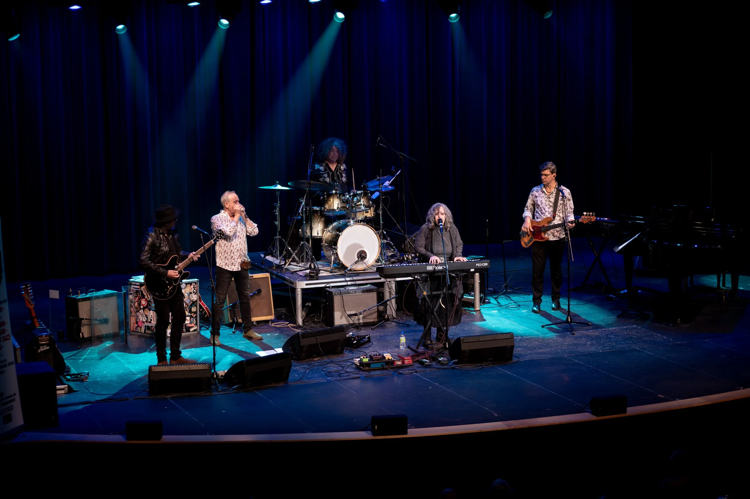 Escarpment Blues Society 3rd Degree Blues anniversary gala show at the Ancaster Memorial Arts Centre. Steve Strongman (guitar), Roly Platt (harmonica), Sean O'Grady (drums), Lily Sazz (piano), Colin Lapsley (bass) - (photo by Jessie Ciccarelli)