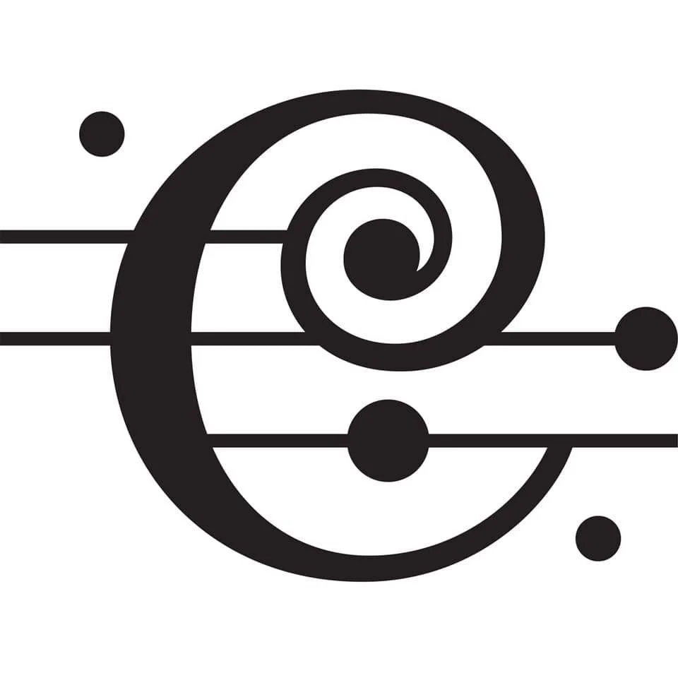 Section Second Violin - Chicago Symphony Orchestra