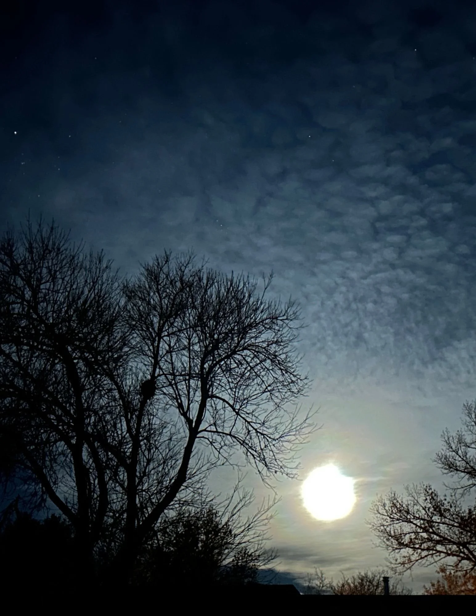 Sanctuary for Sorrow: An evening of honoring loss, love, and the tender complexity of this season 