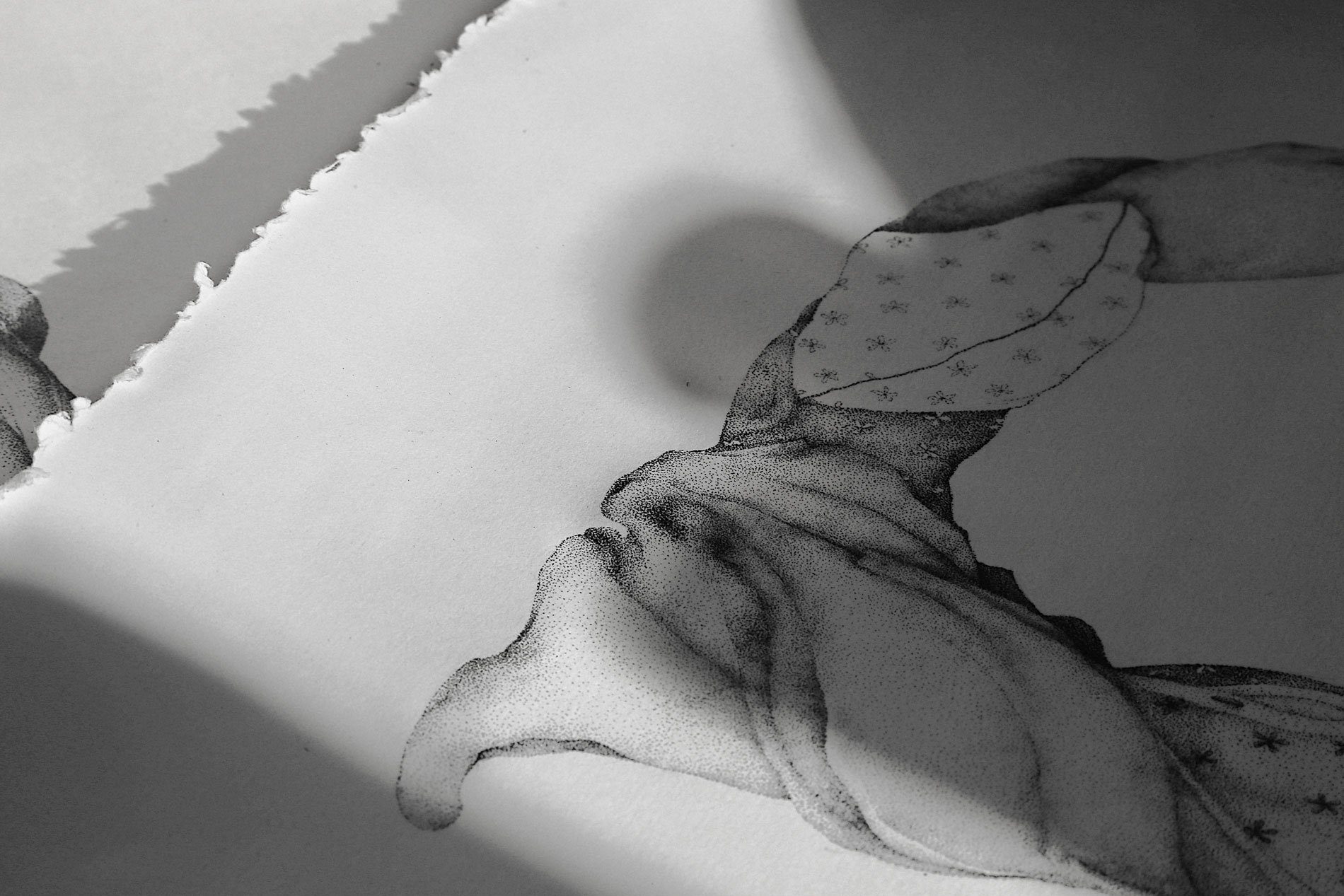 Sketch.jpg