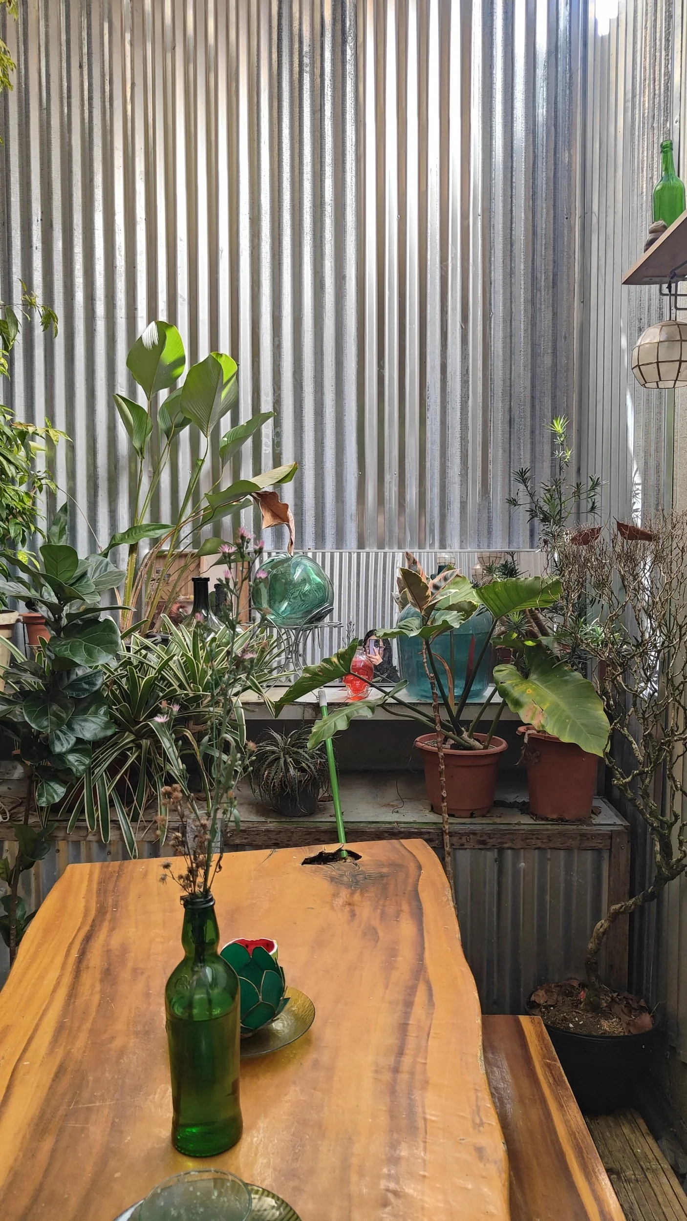 To grow like a tree in a machine