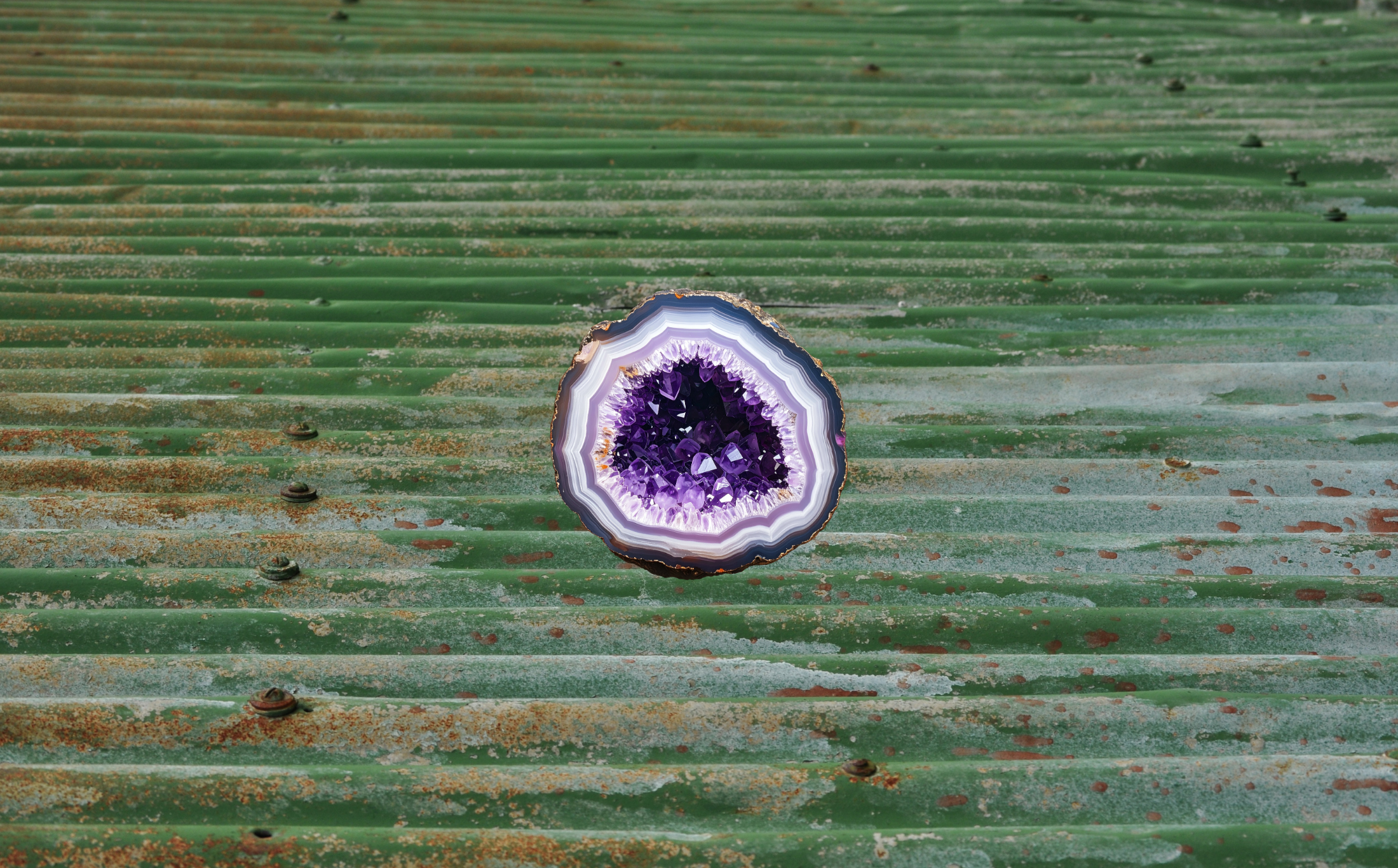 Jewel Seed