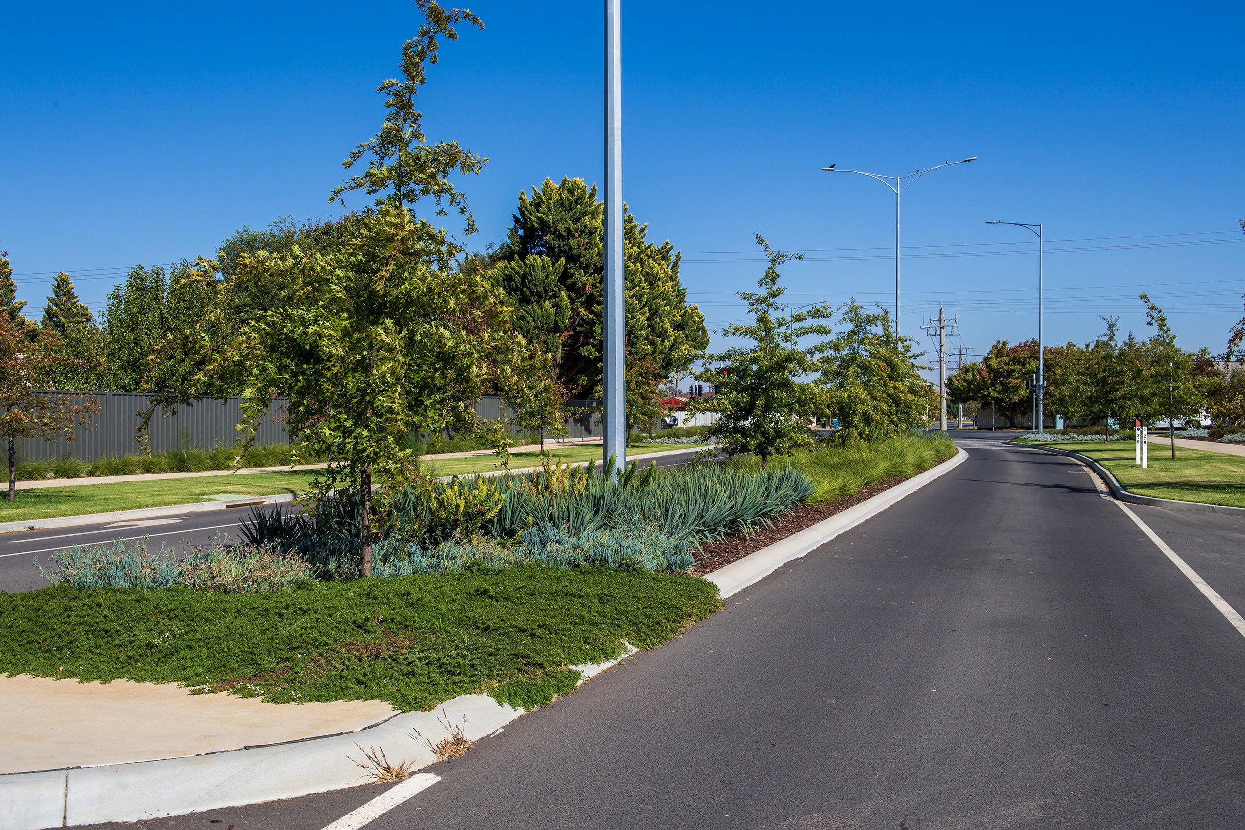 OSY_4363 Streetscape.jpg