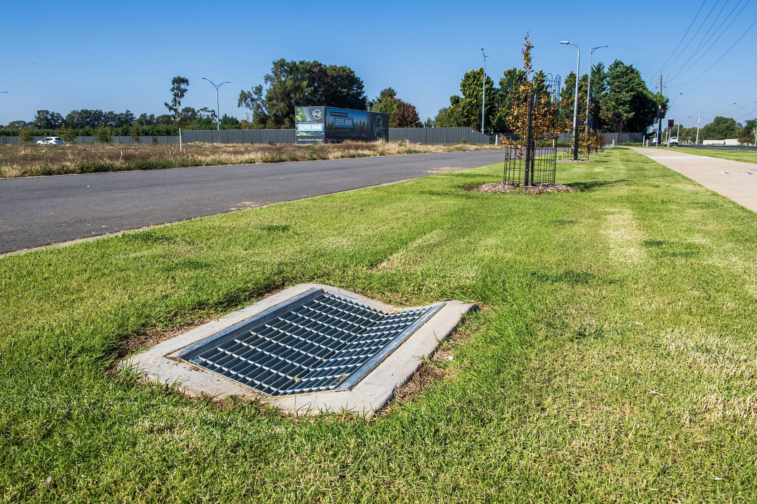 Outdoor view of a grassy sidewalk with a storm drain, trees, street lights, and a road with some cars and billboard in the background.