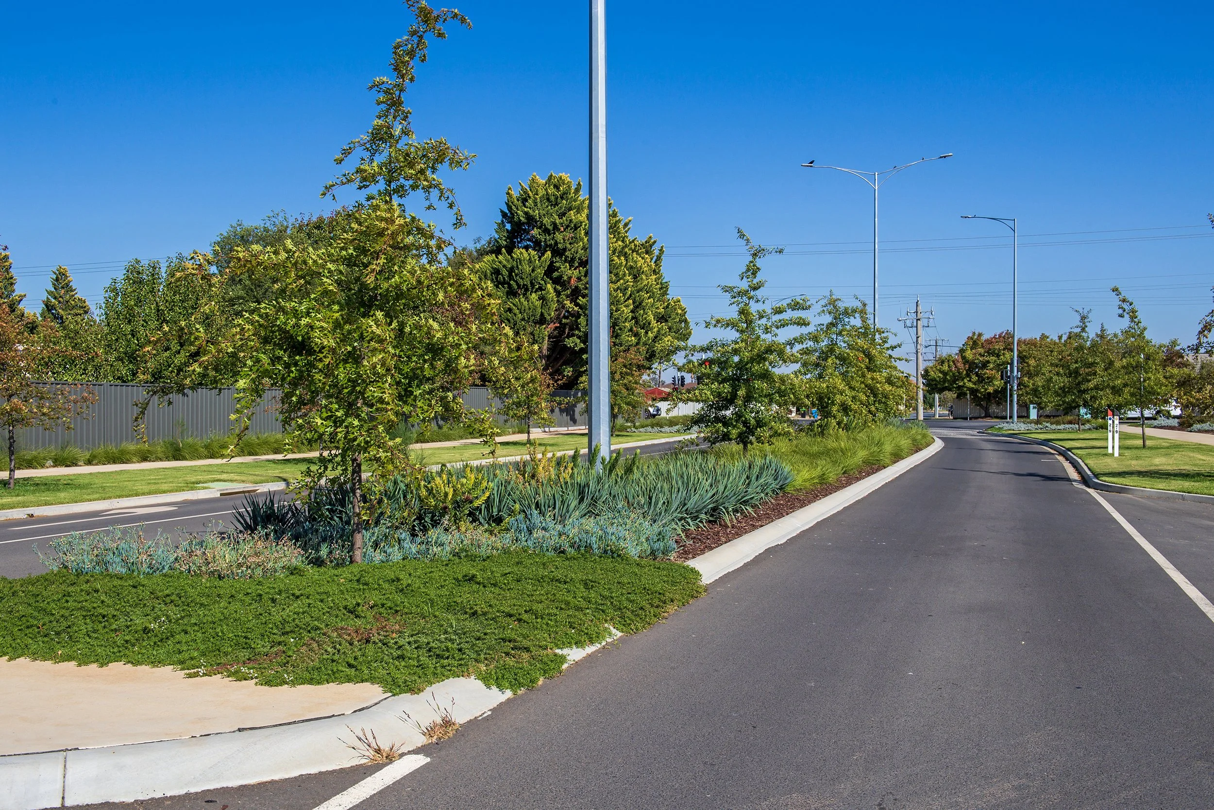 OSY_4363 Streetscape2.jpg