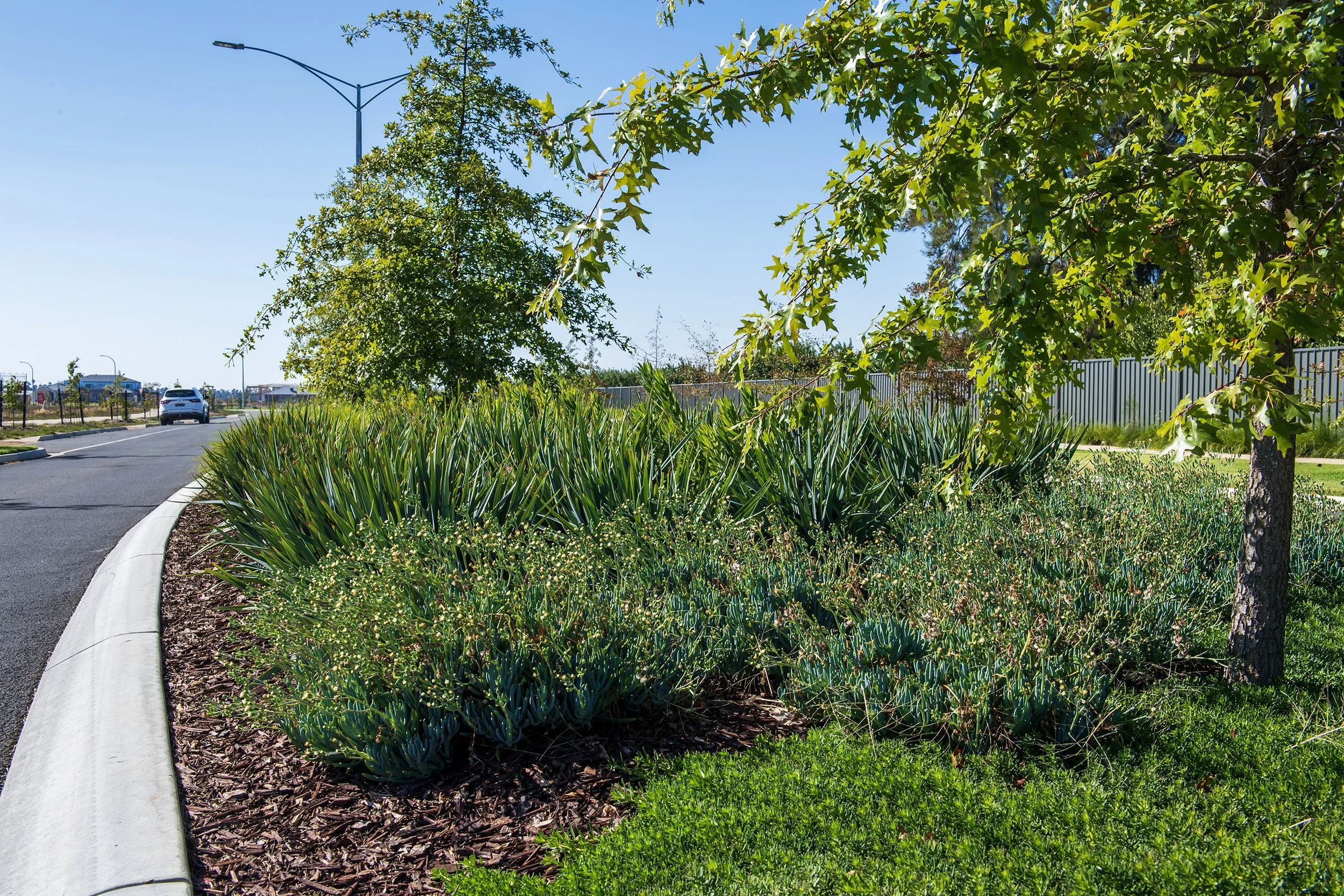 OSY_4385 Streetscape.jpg