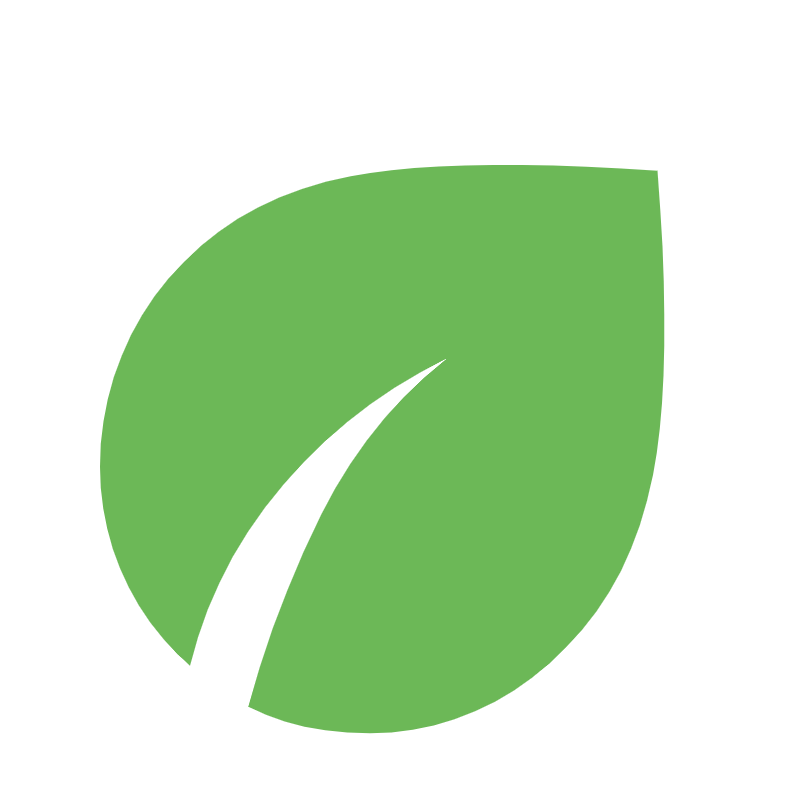 Green leaf with a black branch or stem on a black background.