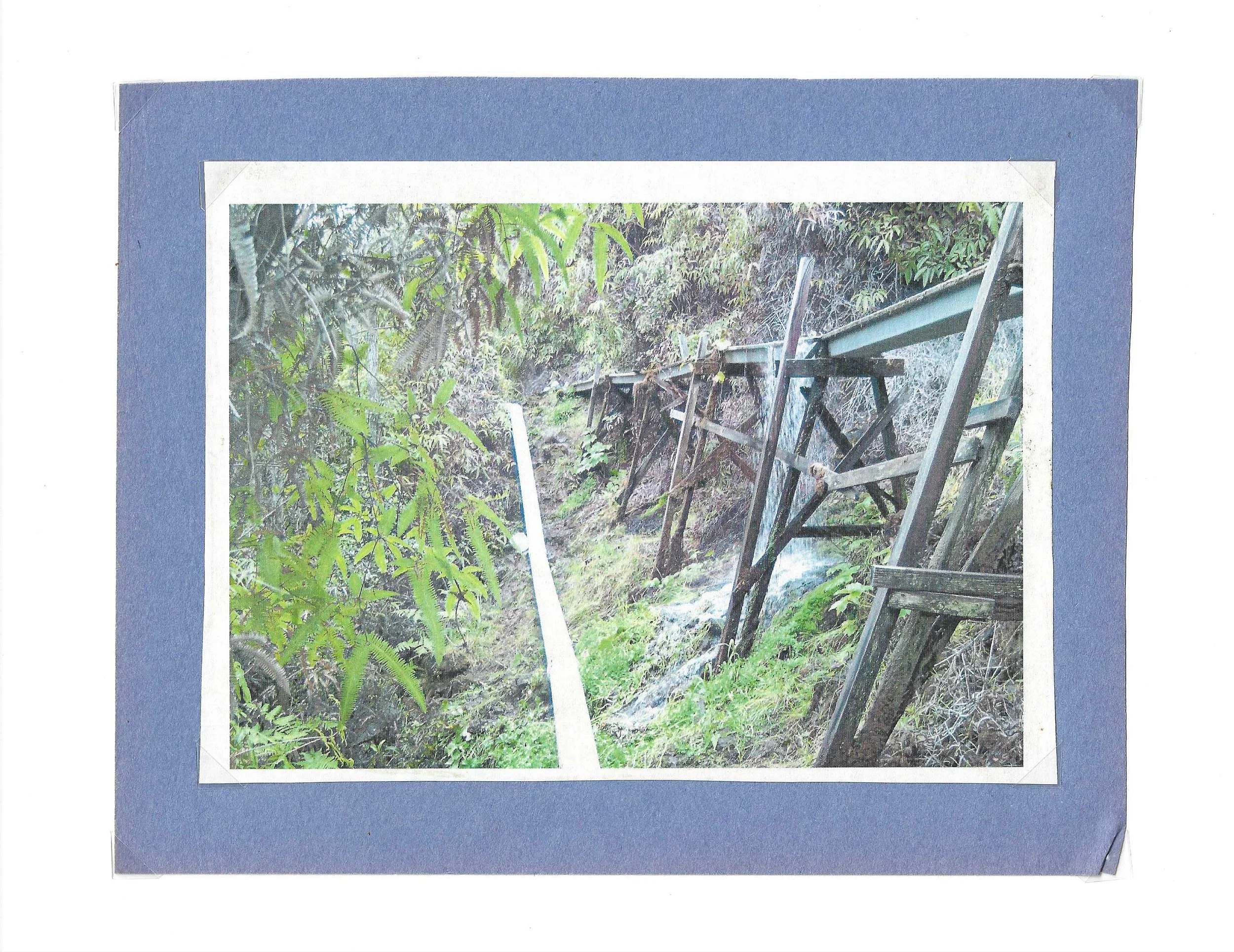 The original Keaīwa flume running through dense vegetation on a forested hillside.