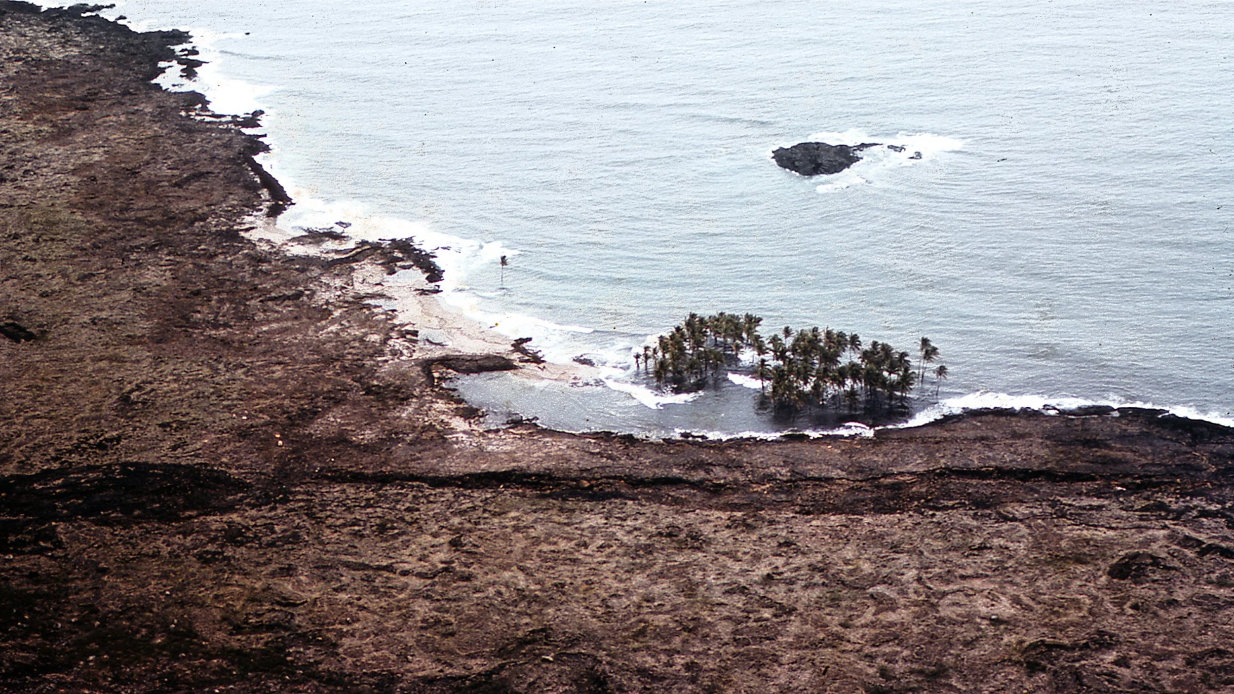 Honoring Halapē.jpg