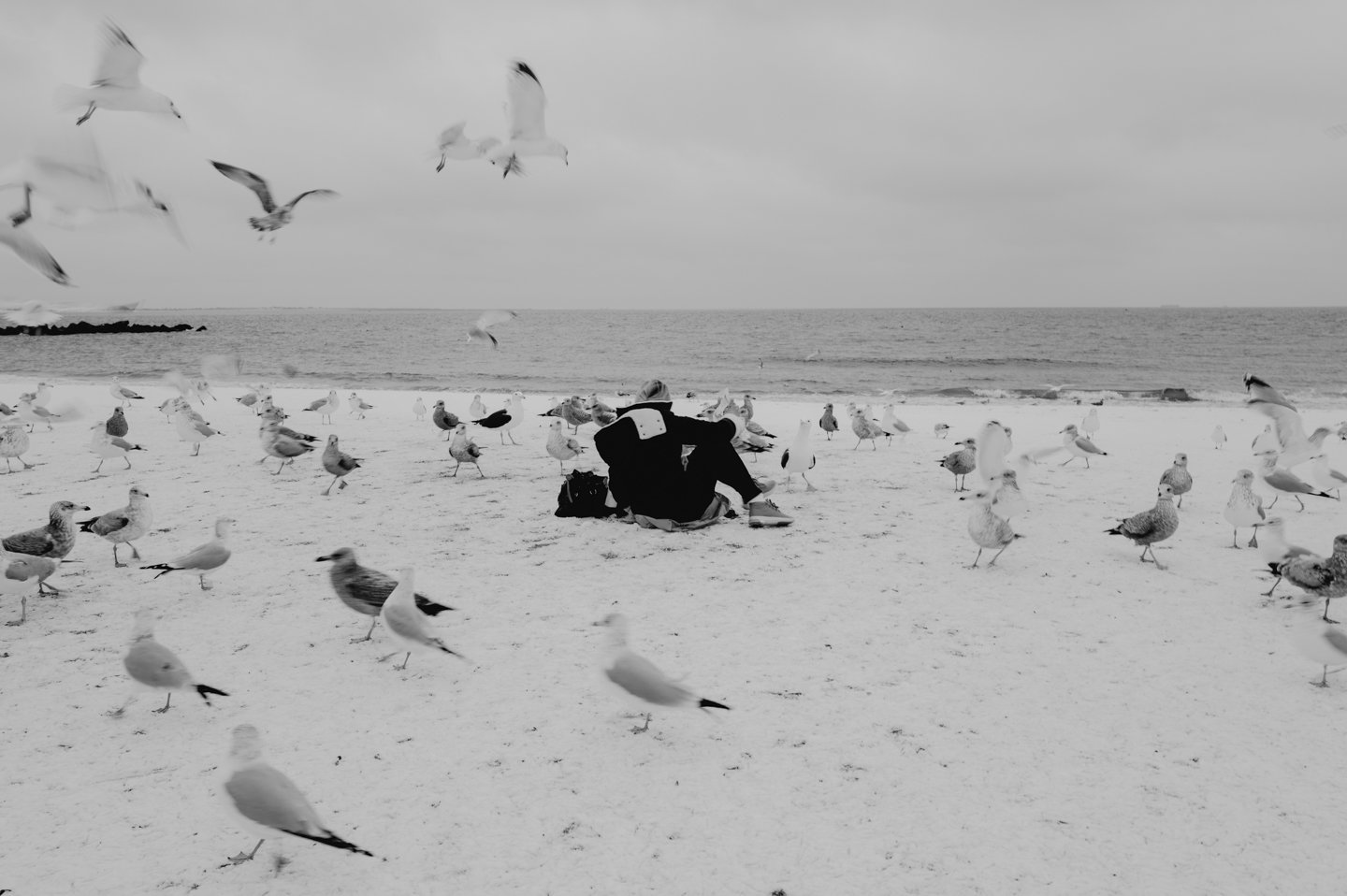 L1031167.jpg