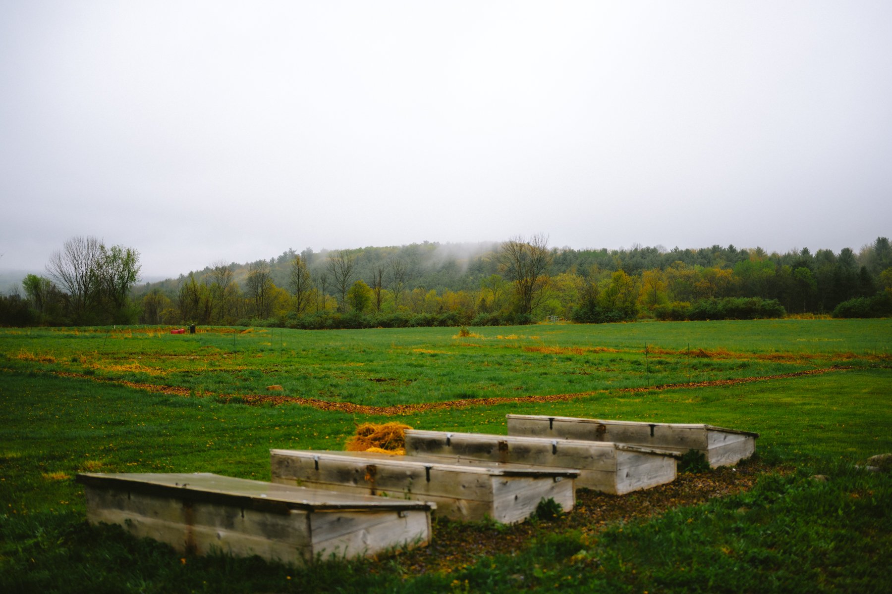 DSC_0930.jpg