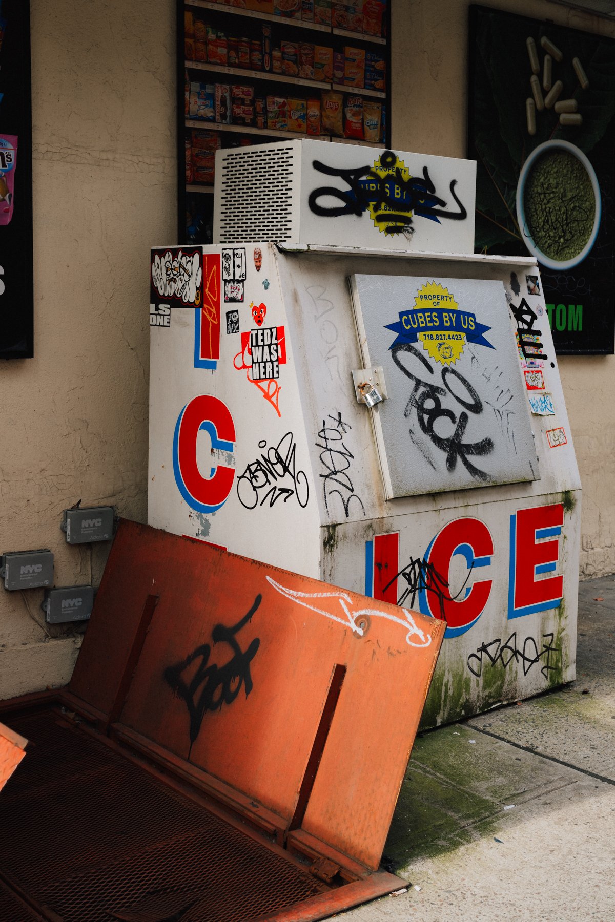 DSC07929.jpg