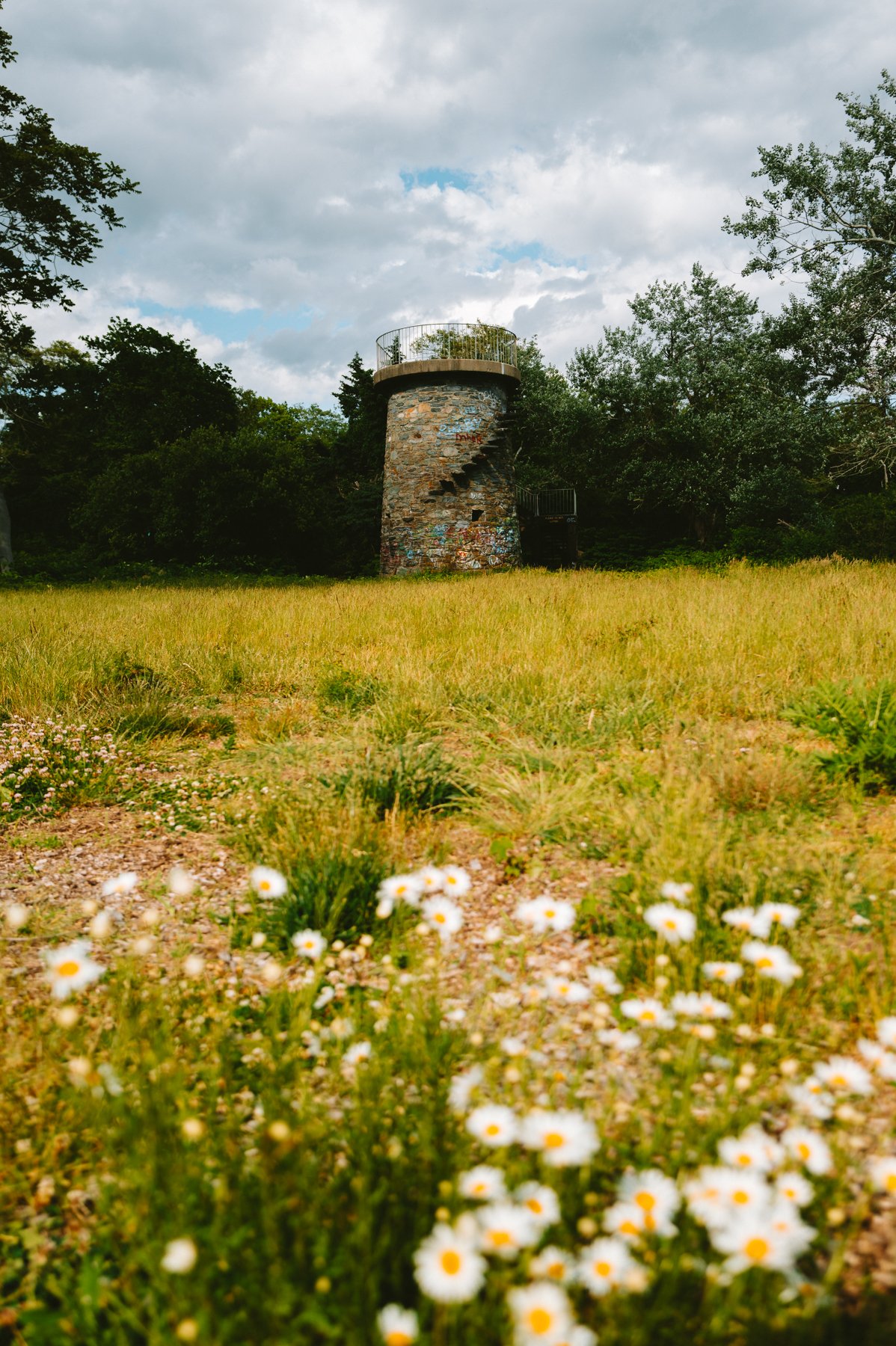 L1034142.jpg