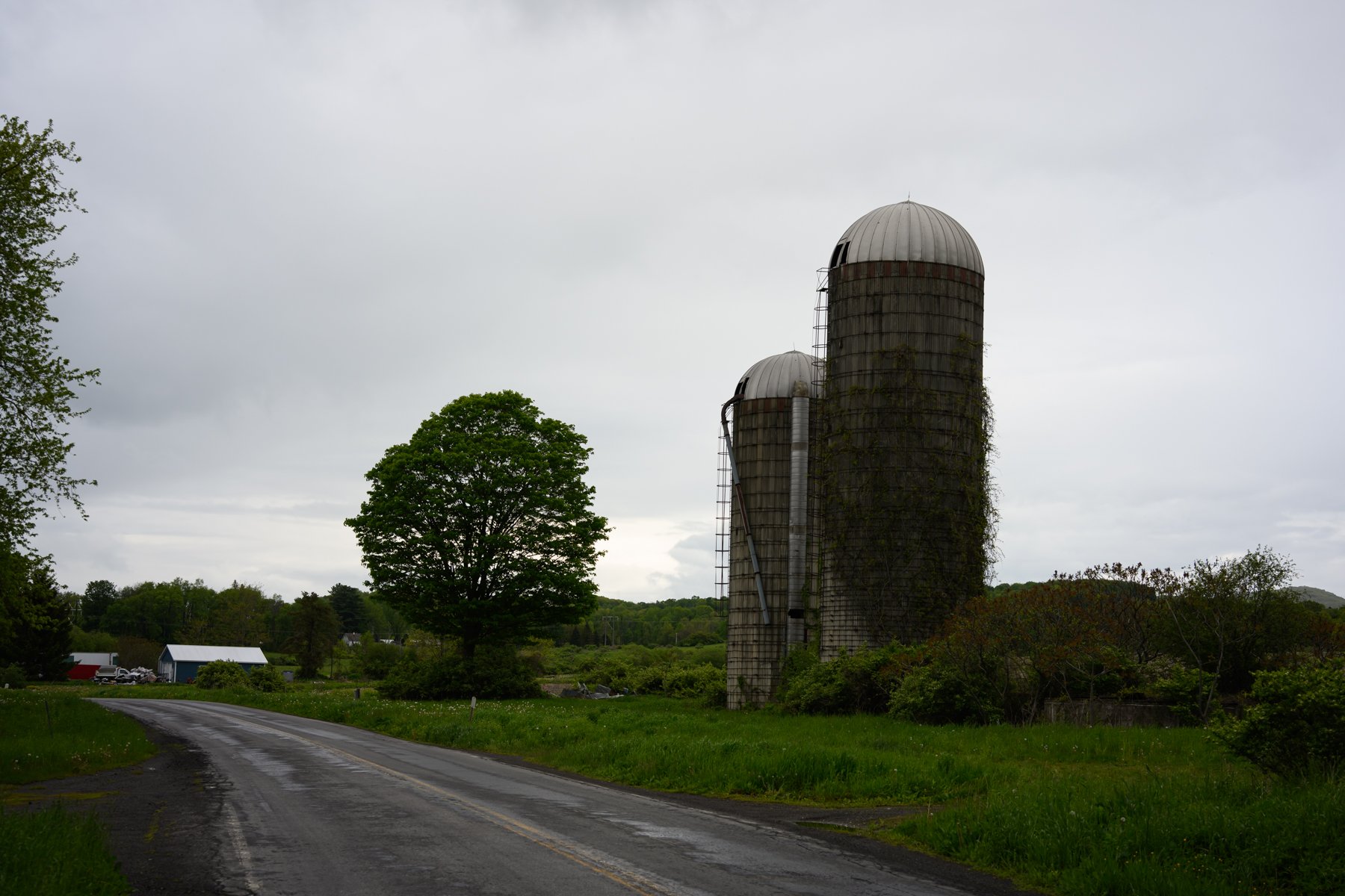 DSC_2572.jpg
