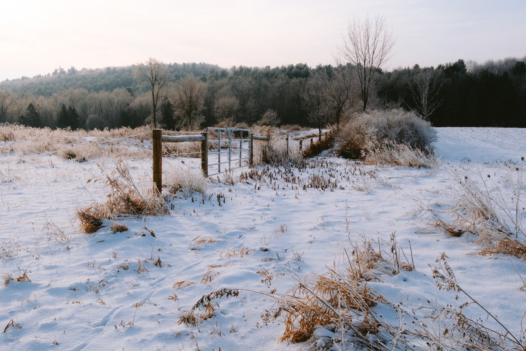 DSCF3280.jpg