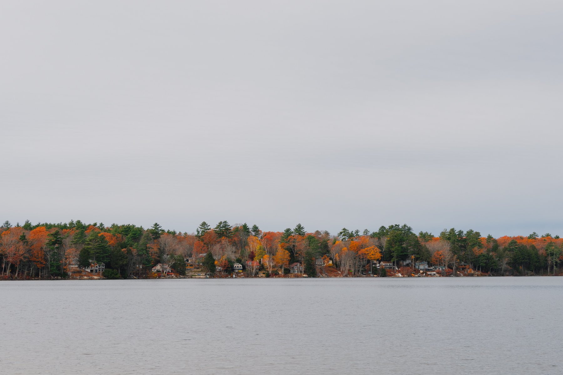 DSC00393.jpg