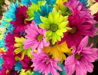 3 Spring Marketing Ideas