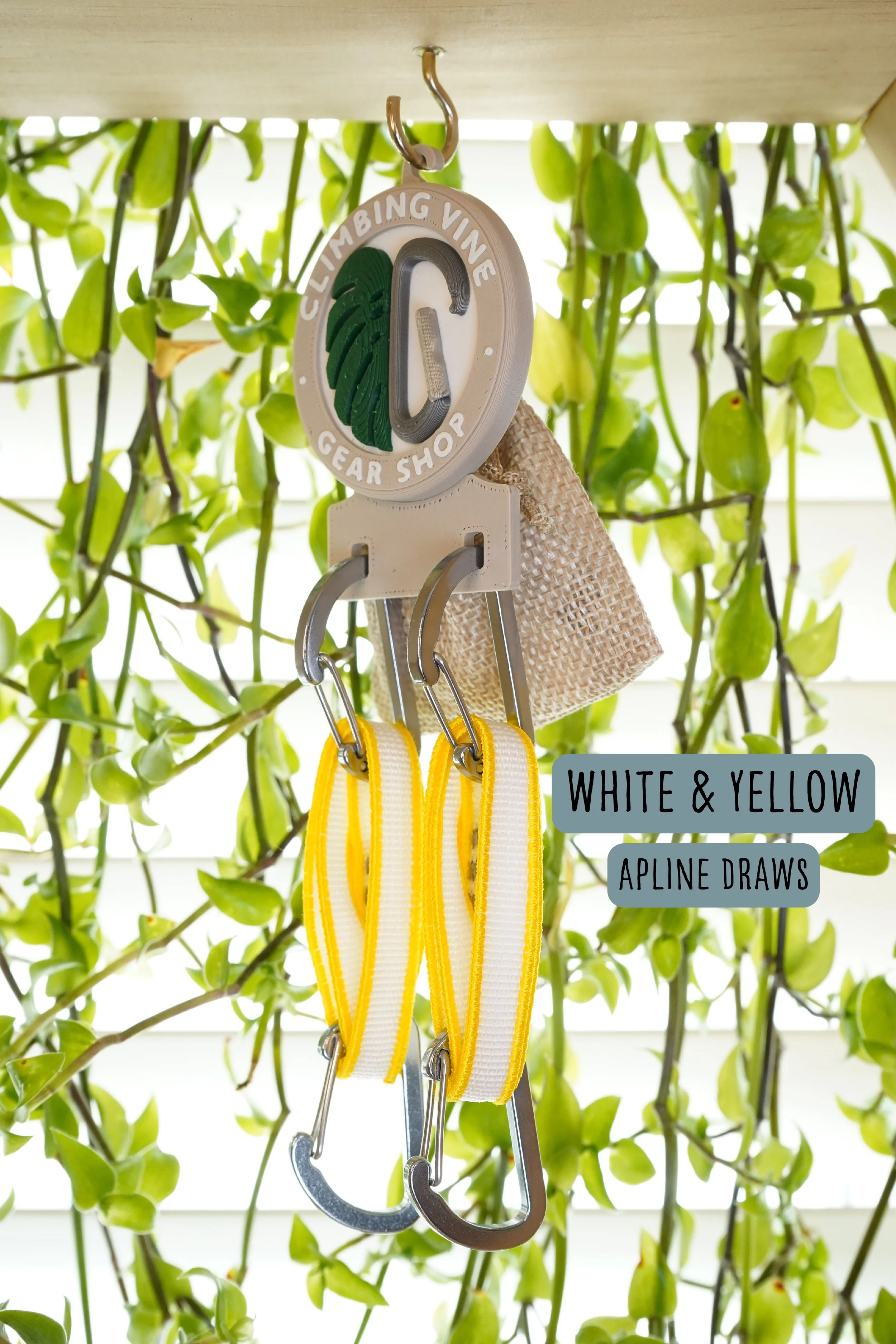 White and Yellow Alpine draws labeled.jpg
