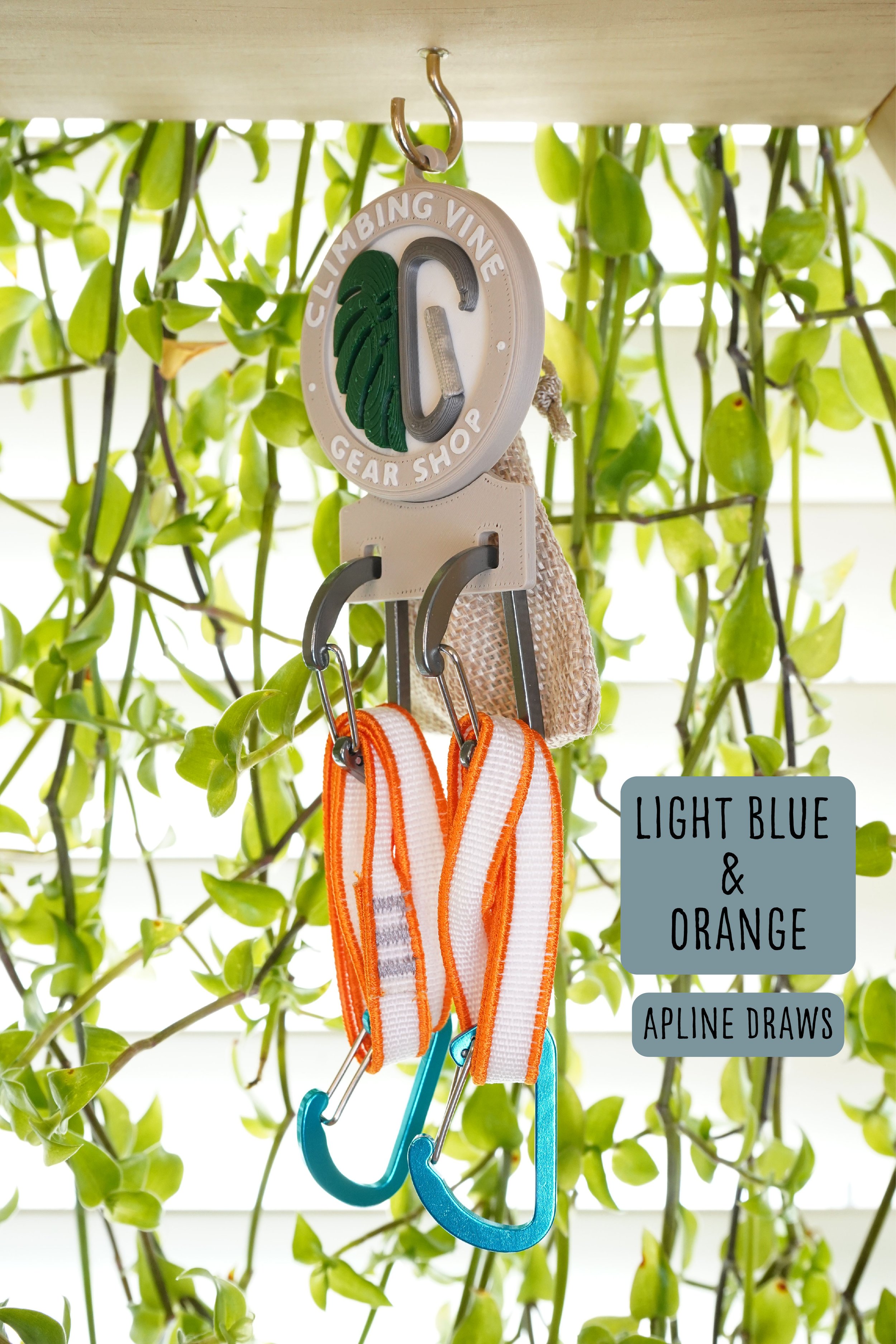 Light Blue and Orange Alpine Draw labeled.jpg