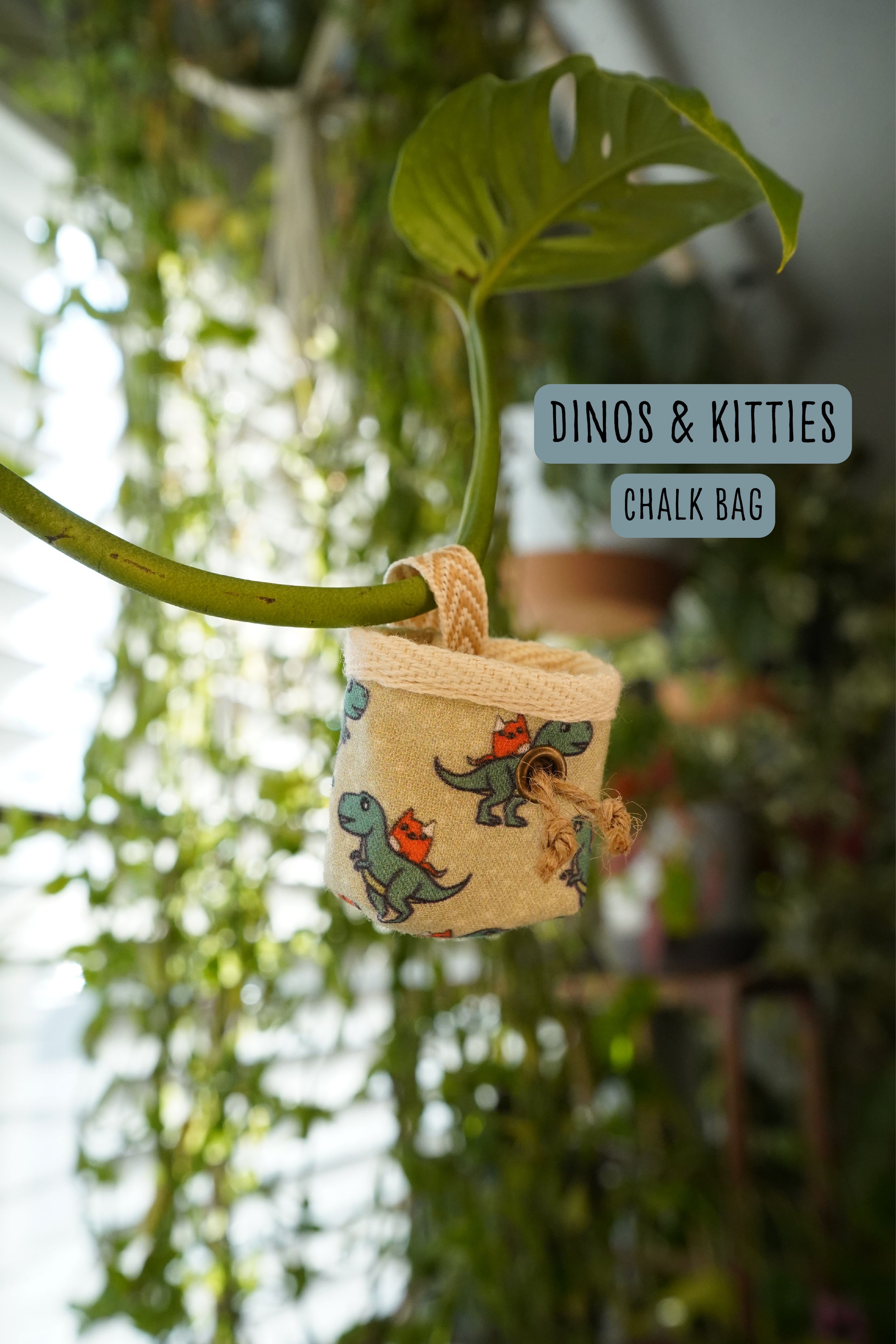 Dinos and Kitties Chalk Bag Labeled.jpg