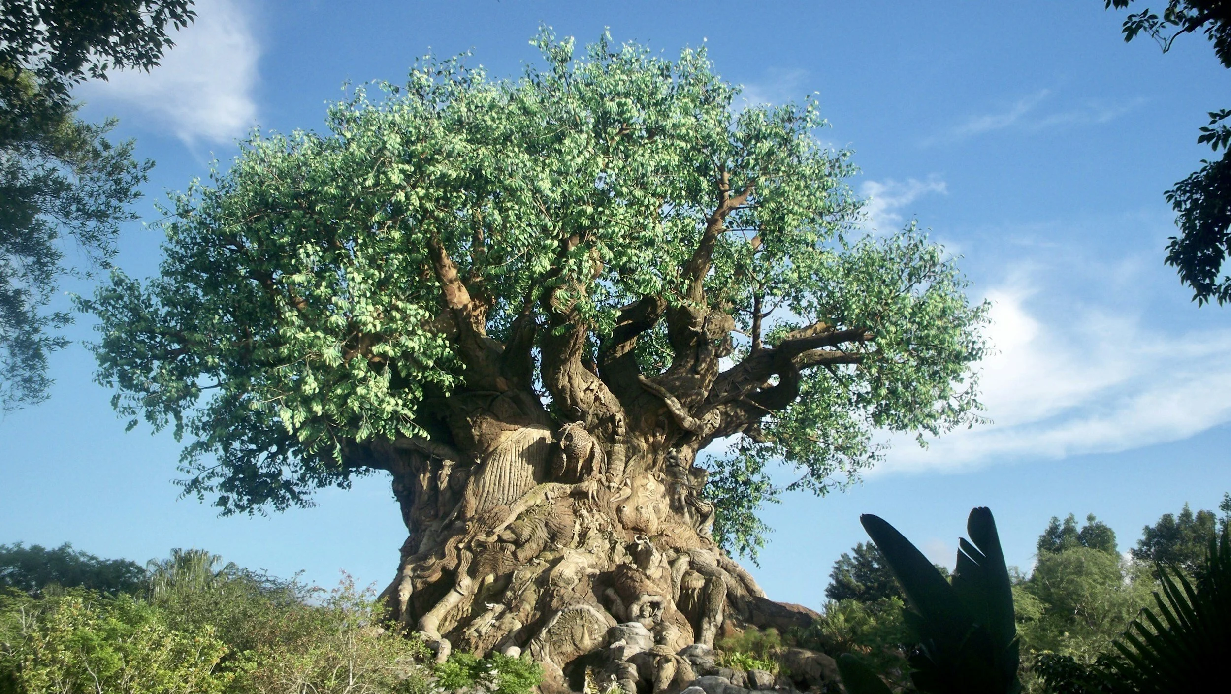 Tree of Life centerpiece at Disney’s Animal Kingdom featuring carved animal details and lush greenery