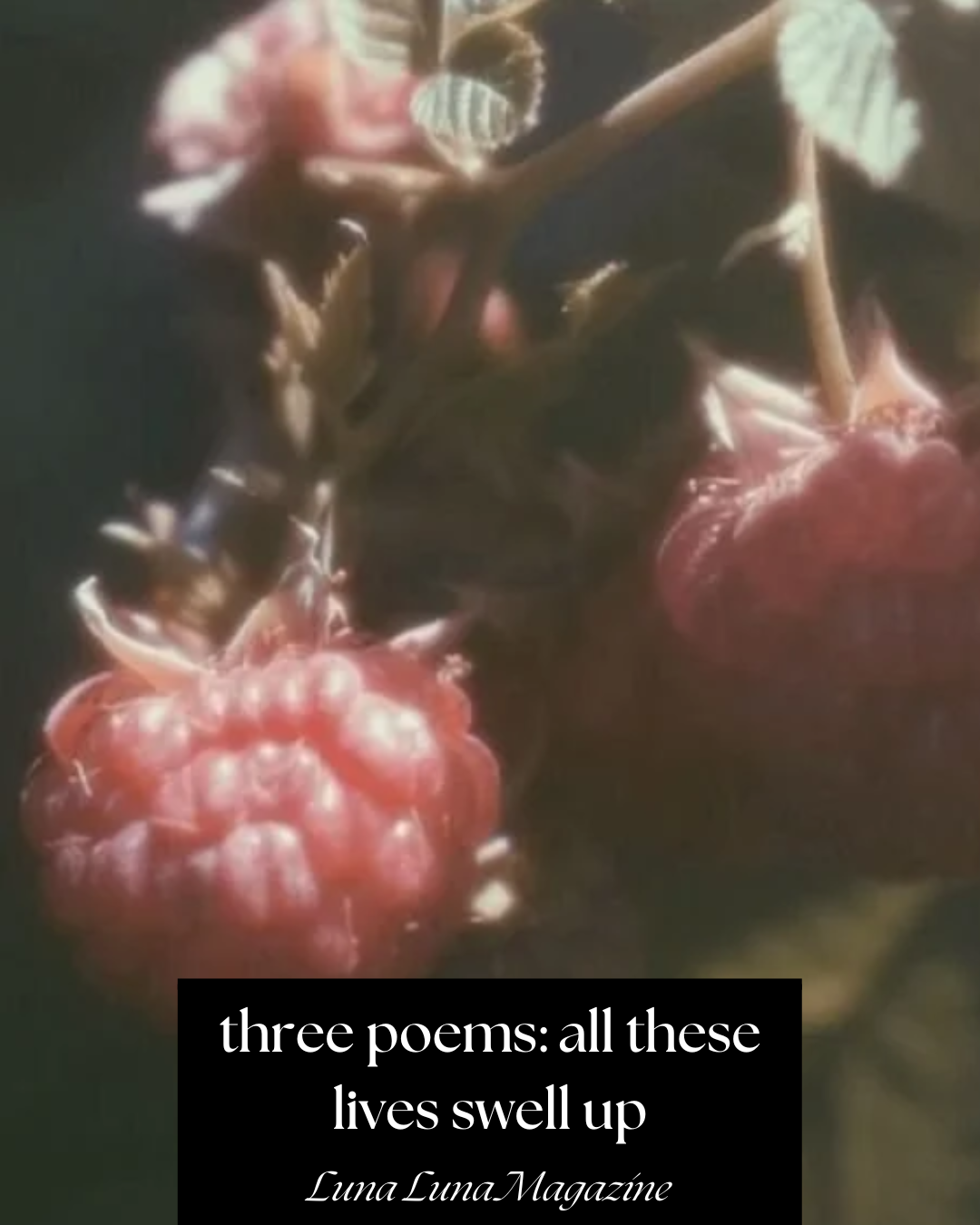 luna luna magazine.png