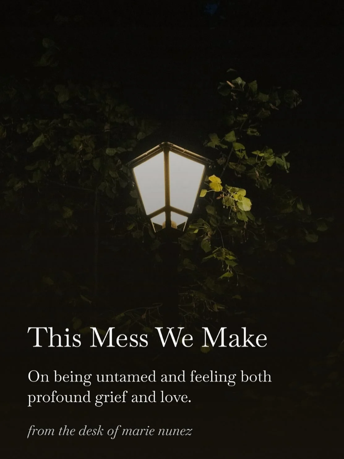 love being wild yet hate the depth of your feelings? this short story is for you then 🖤 #writer #amwriting #writing #writingcommunity #shortstory
