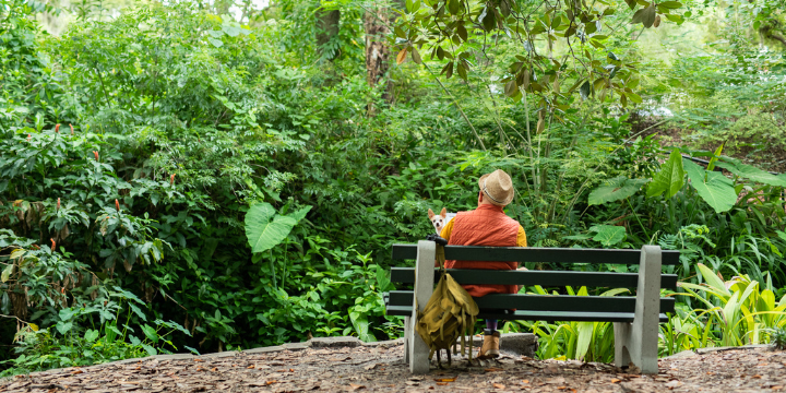 Book Recommendations: Poetry That Celebrates Nature | OCLS Blog