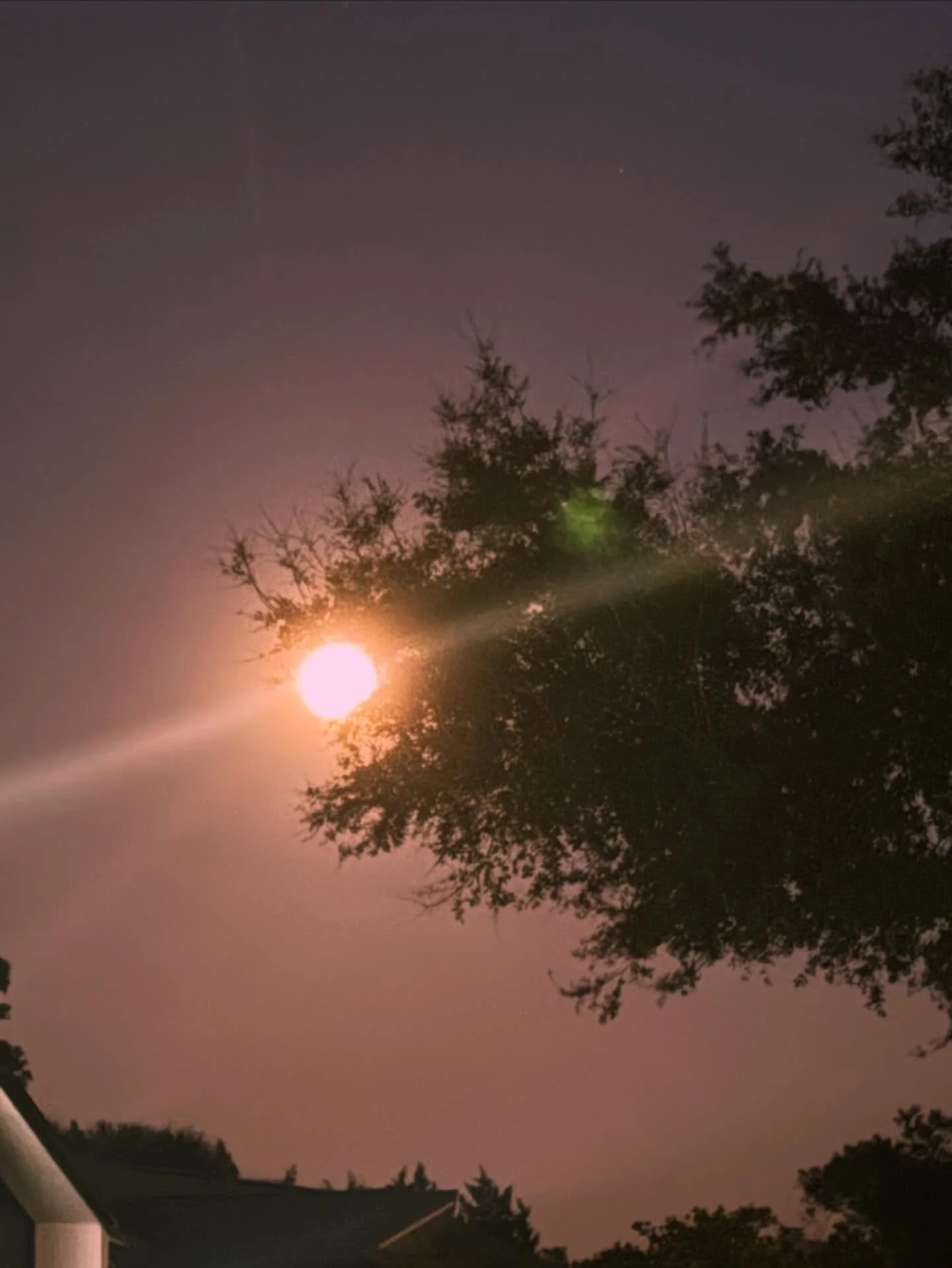 i can&rsquo;t tell you how i know this or why&hellip; but this full moon feels different than all the rest 🪩💕✨🌕 maybe it&rsquo;s the aquarius air or the start of february, but a pulse is being exposed&hellip; and my creative block is slowly chippi