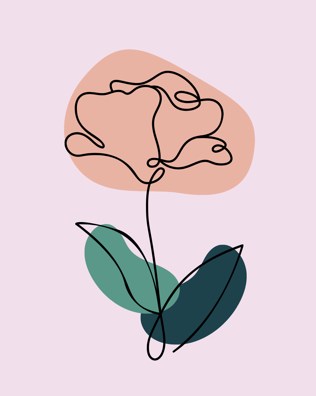 A digital drawing which features a black line silhouette of a flower with pink and green shapes to show form.