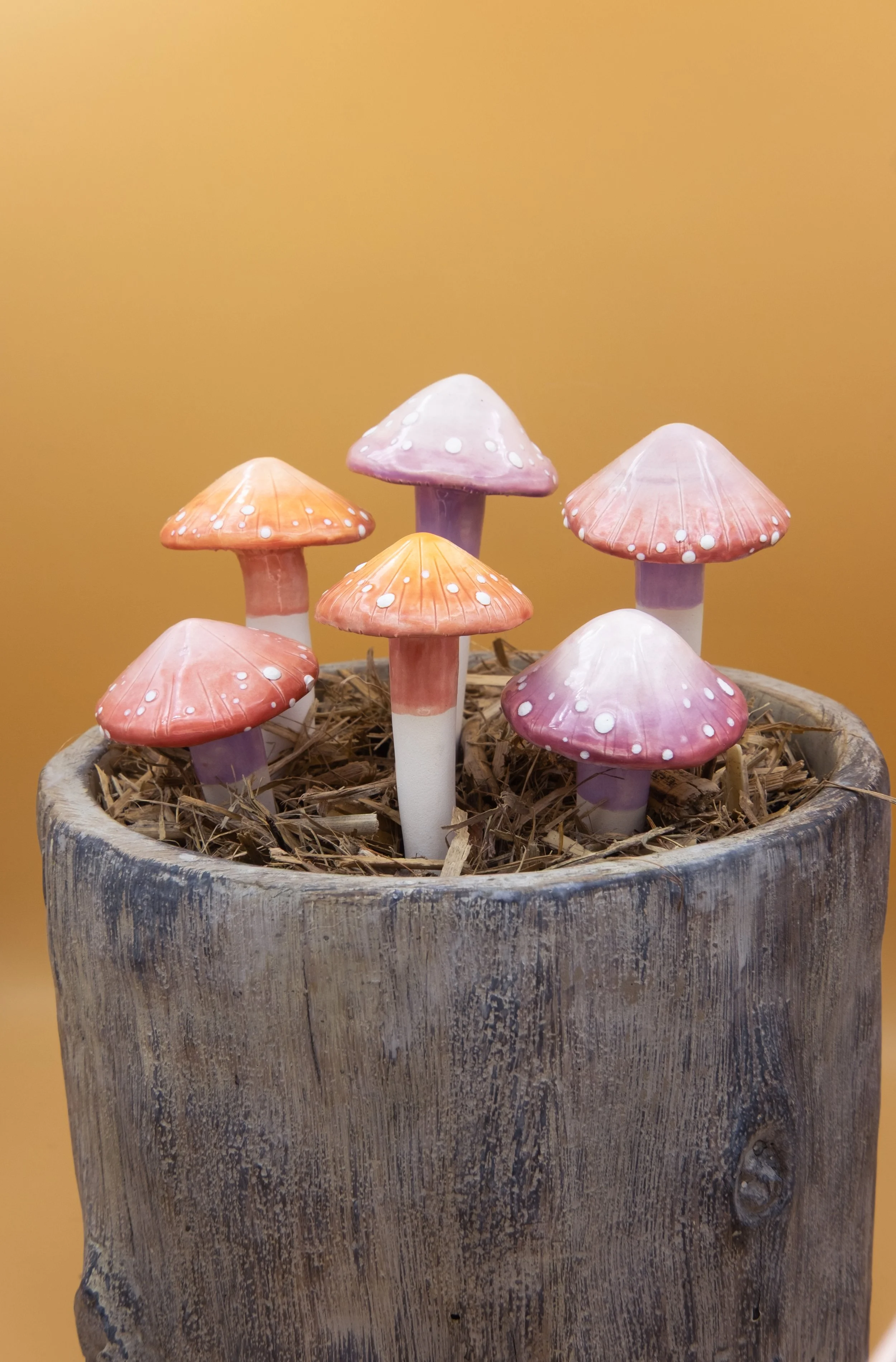 Pretty Pink Garden Mushroom