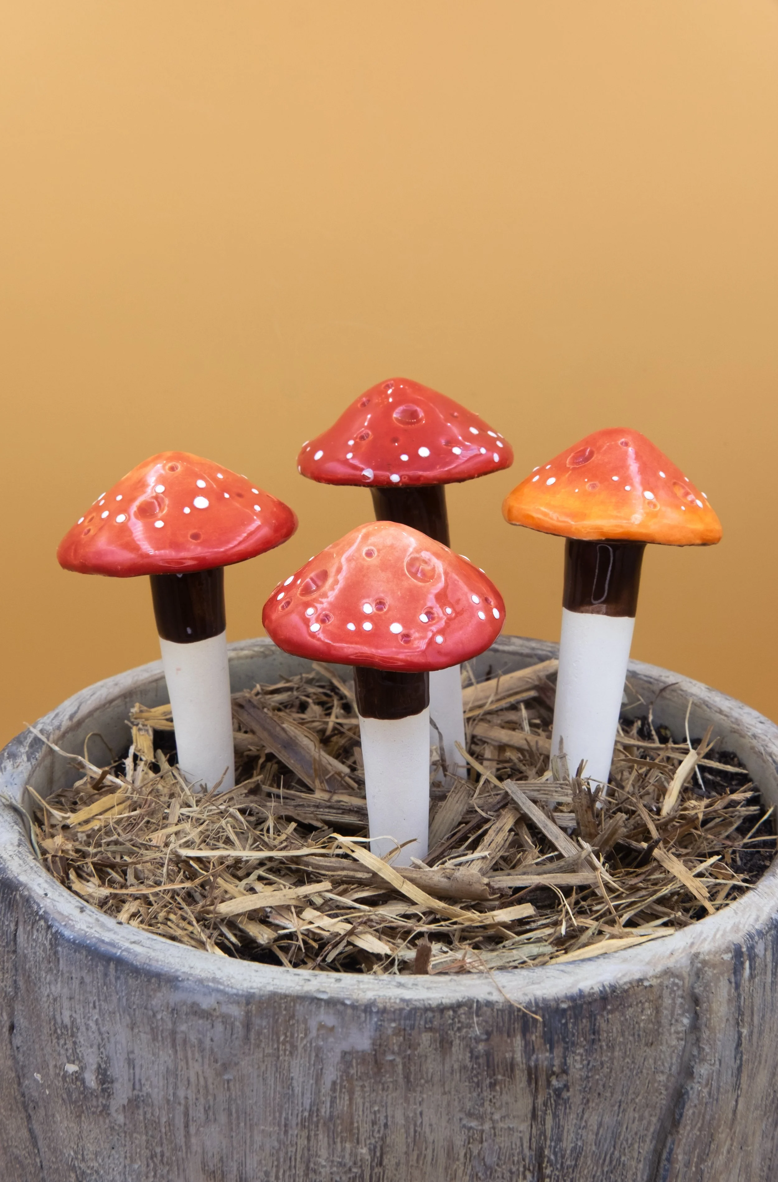 Big Red Garden Mushroom