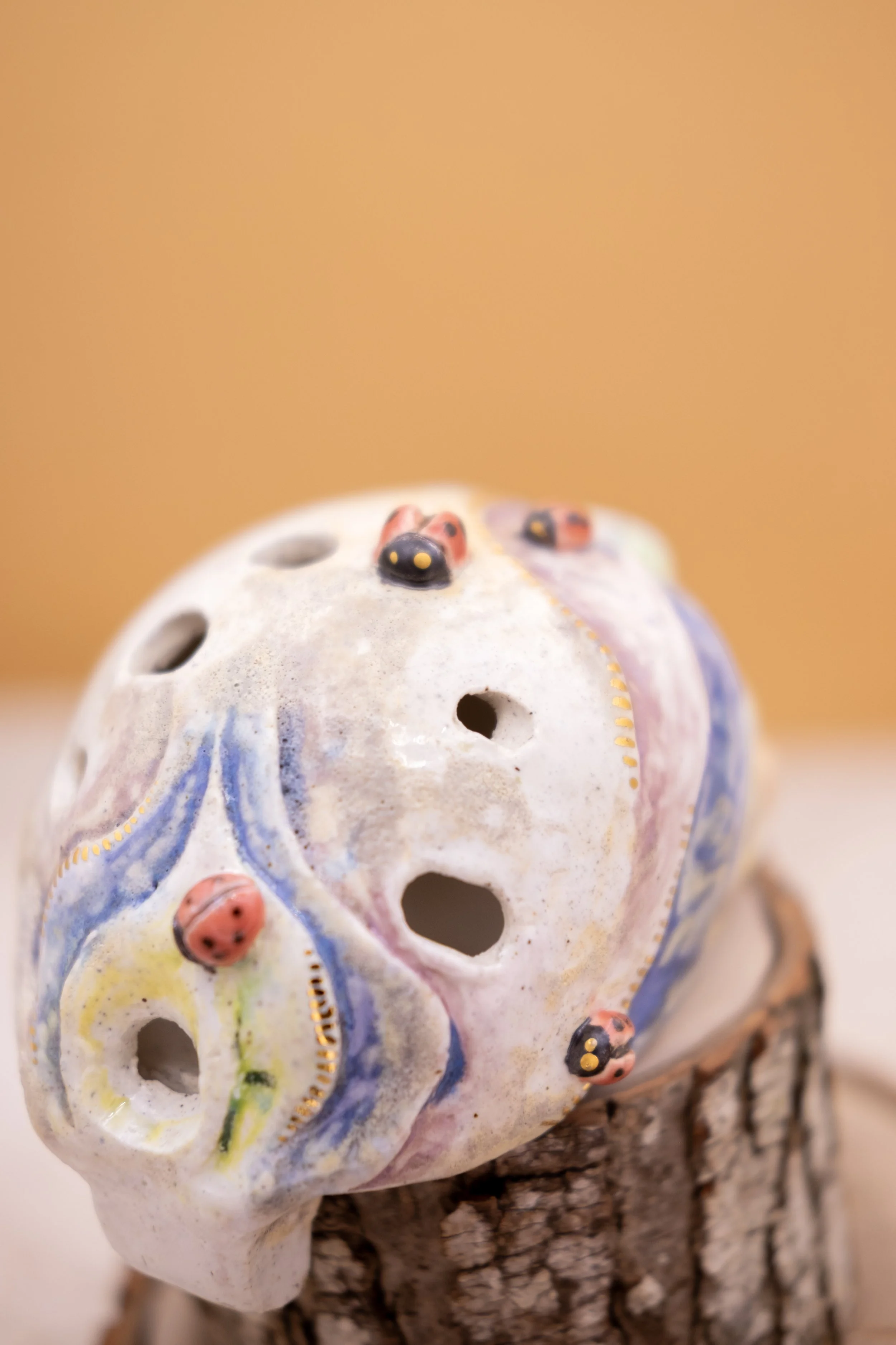 Ladybug Garden 2.jpg