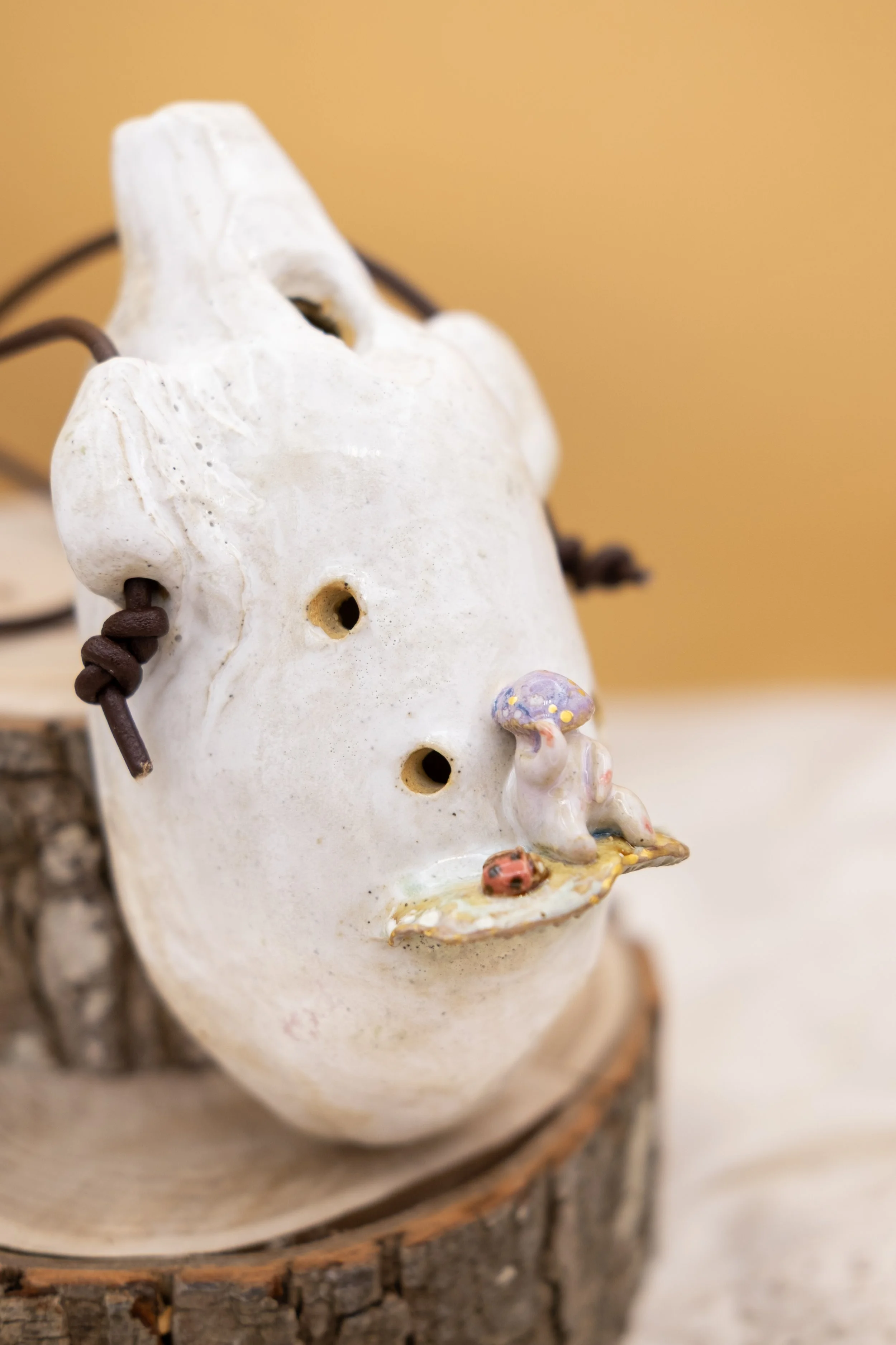 Harmonia Druid 2.jpg