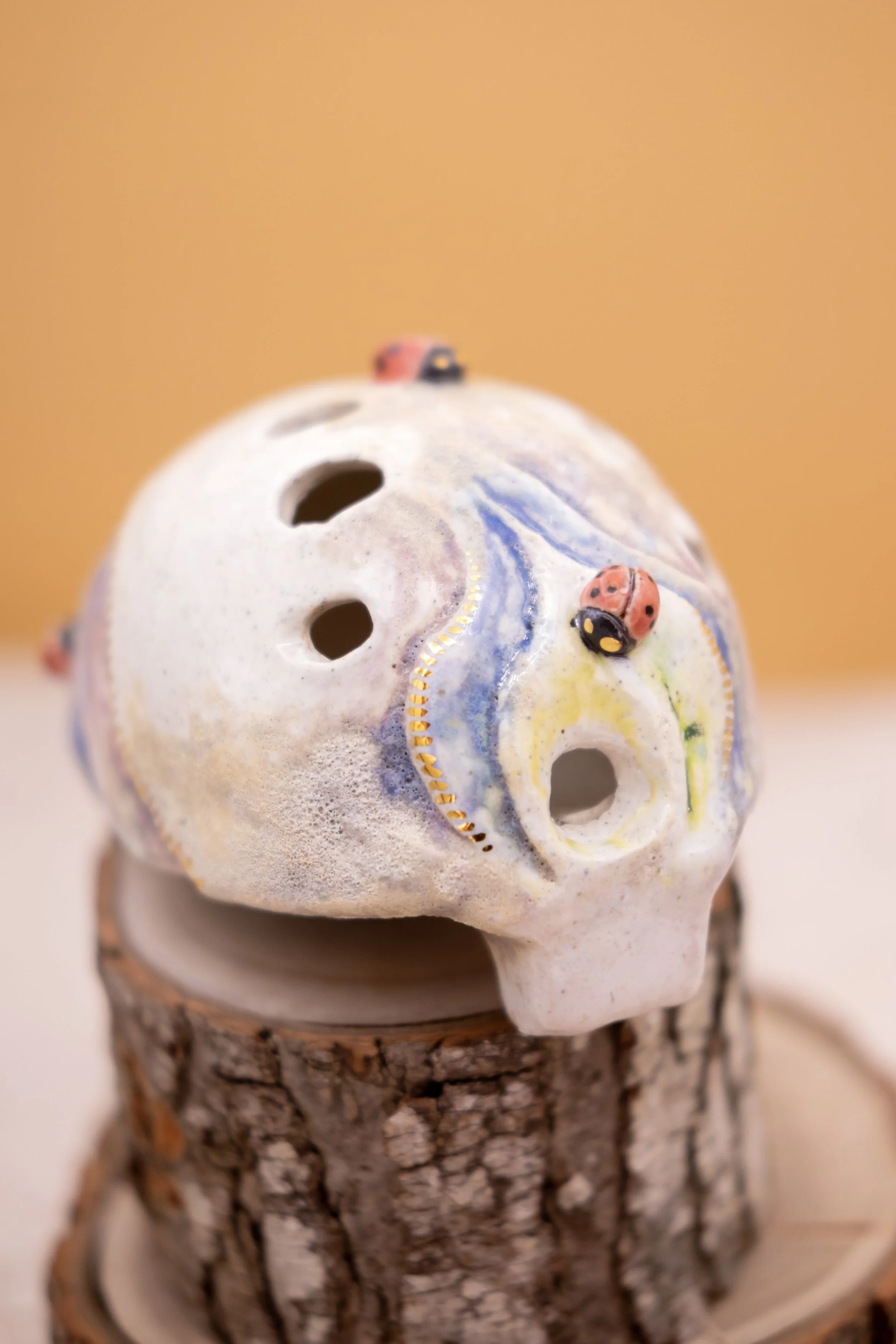 Ladybug Garden 1.jpg