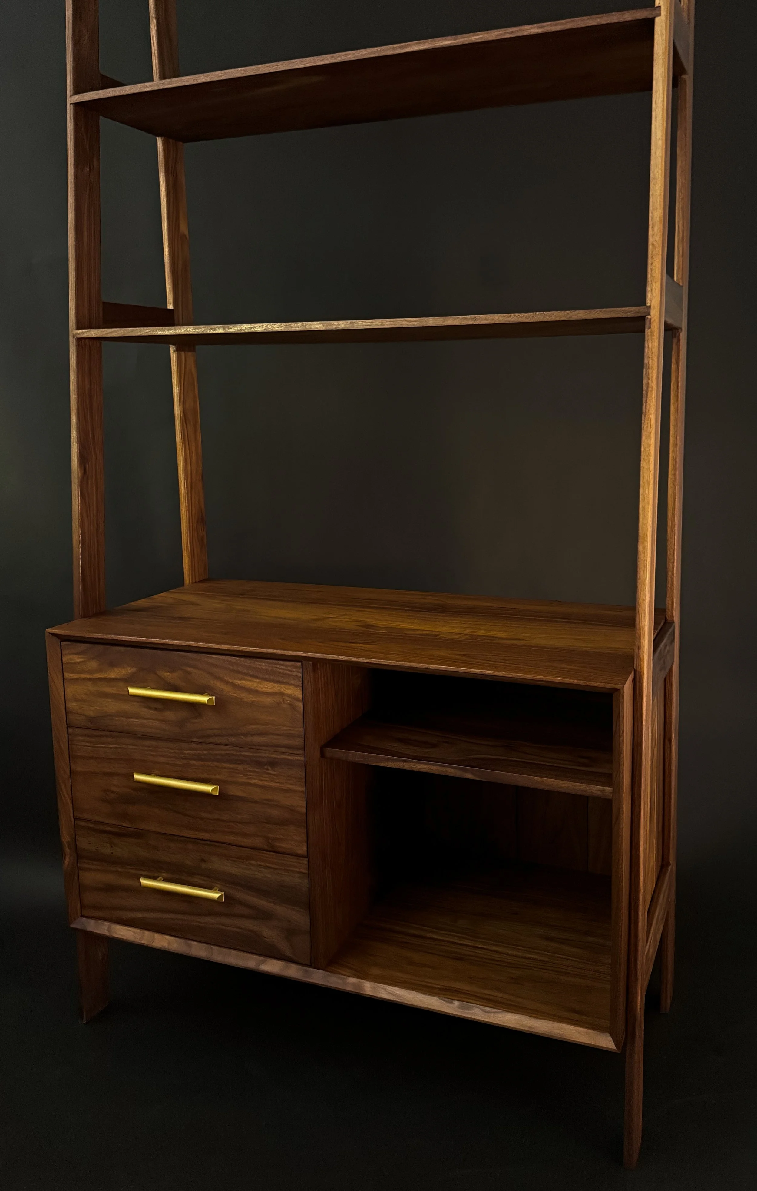 ladder-cabinet-2.jpg