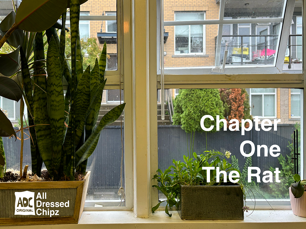 Chapter One: The Rat