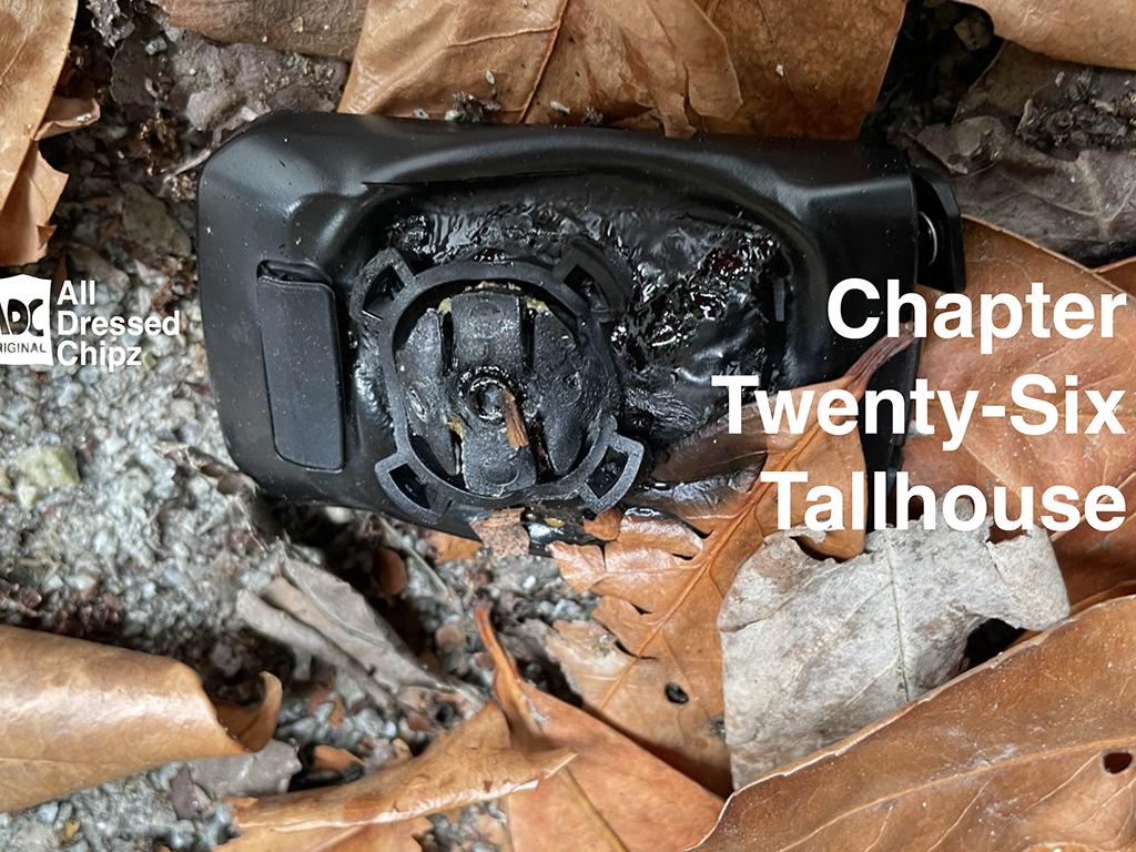 Chapter Twenty-Six: Tallhouse