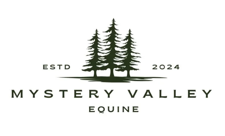 Mystery Valley Equine