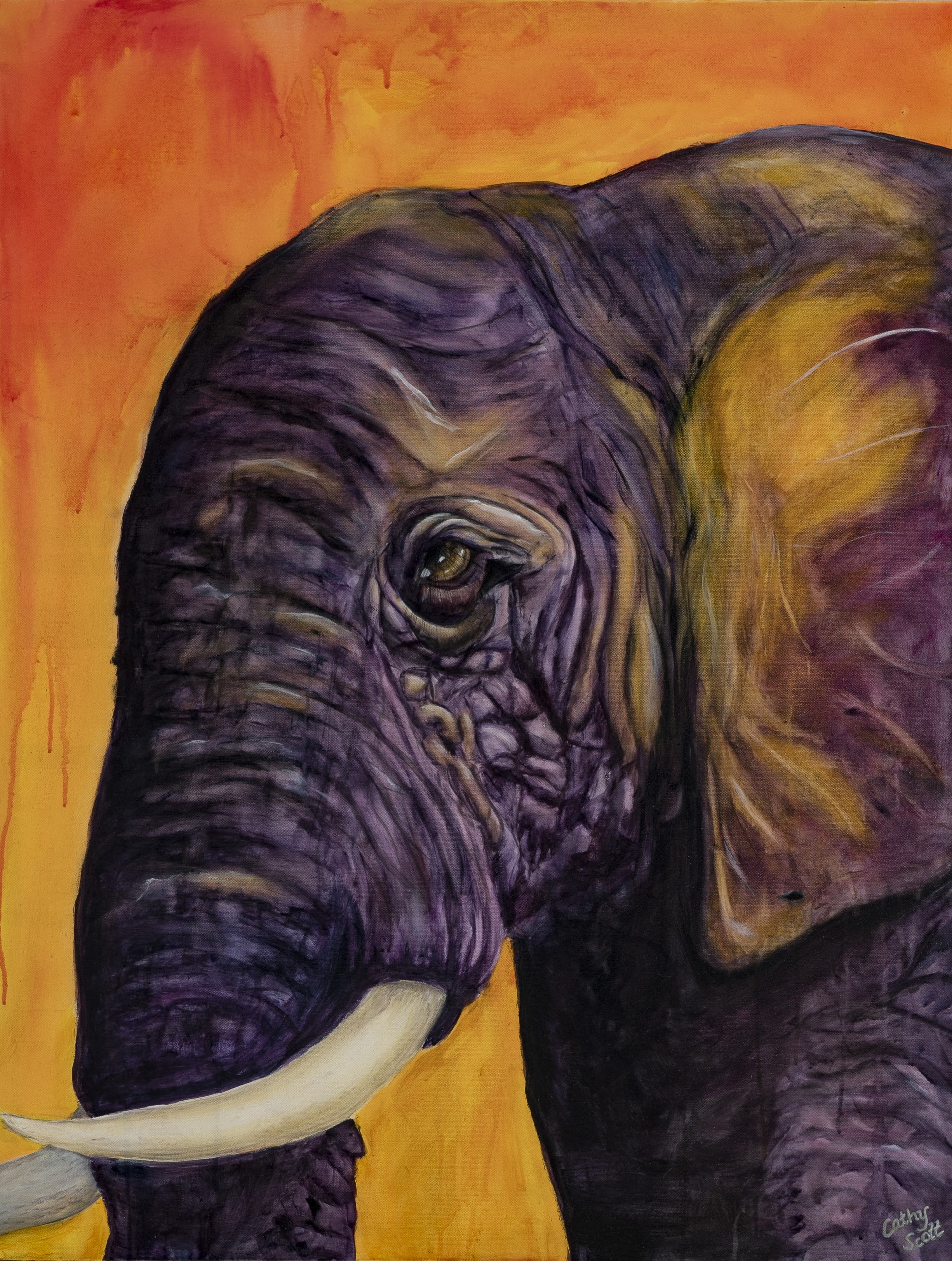 Elephant Nobility