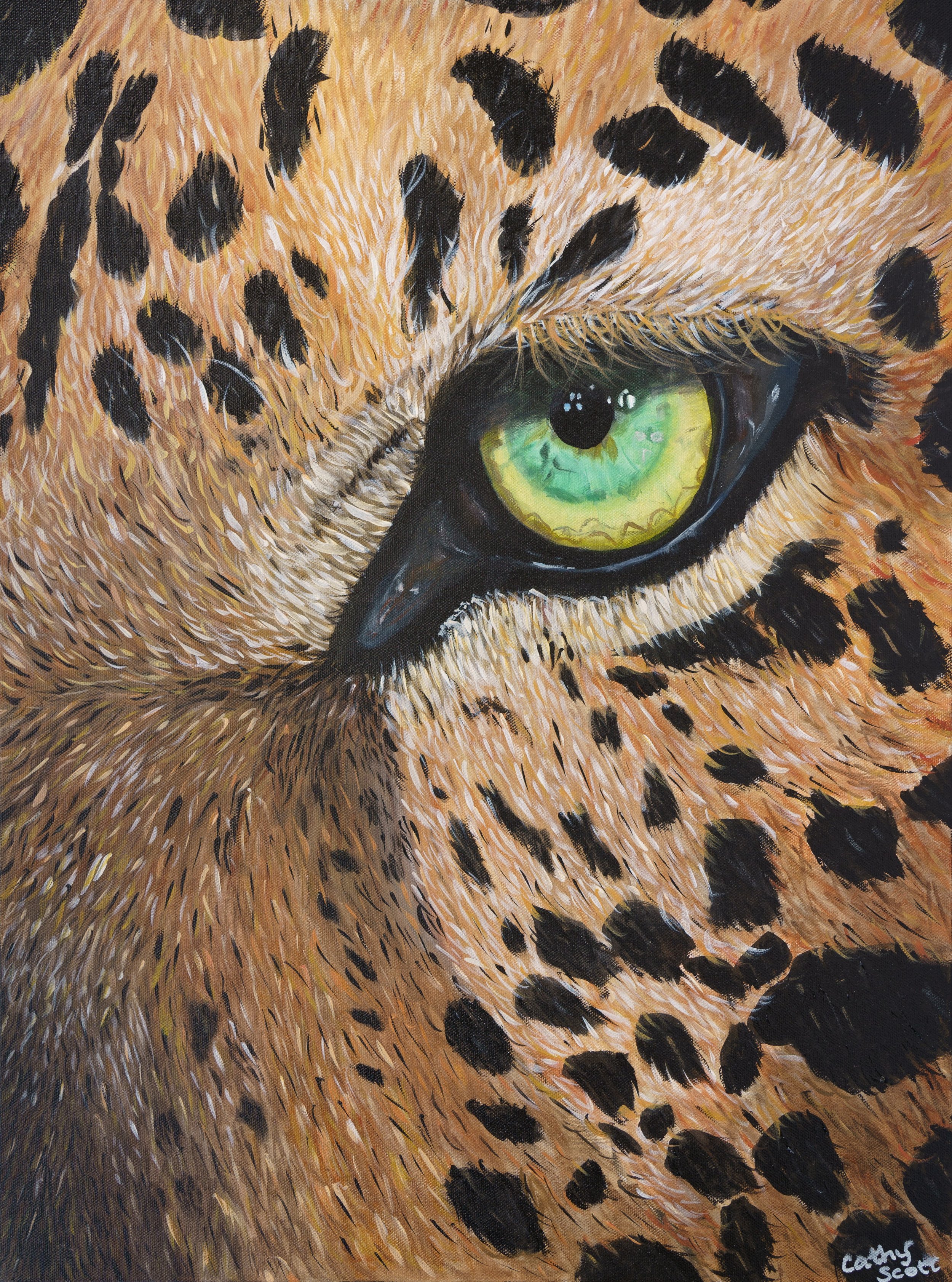 Leopard Spy