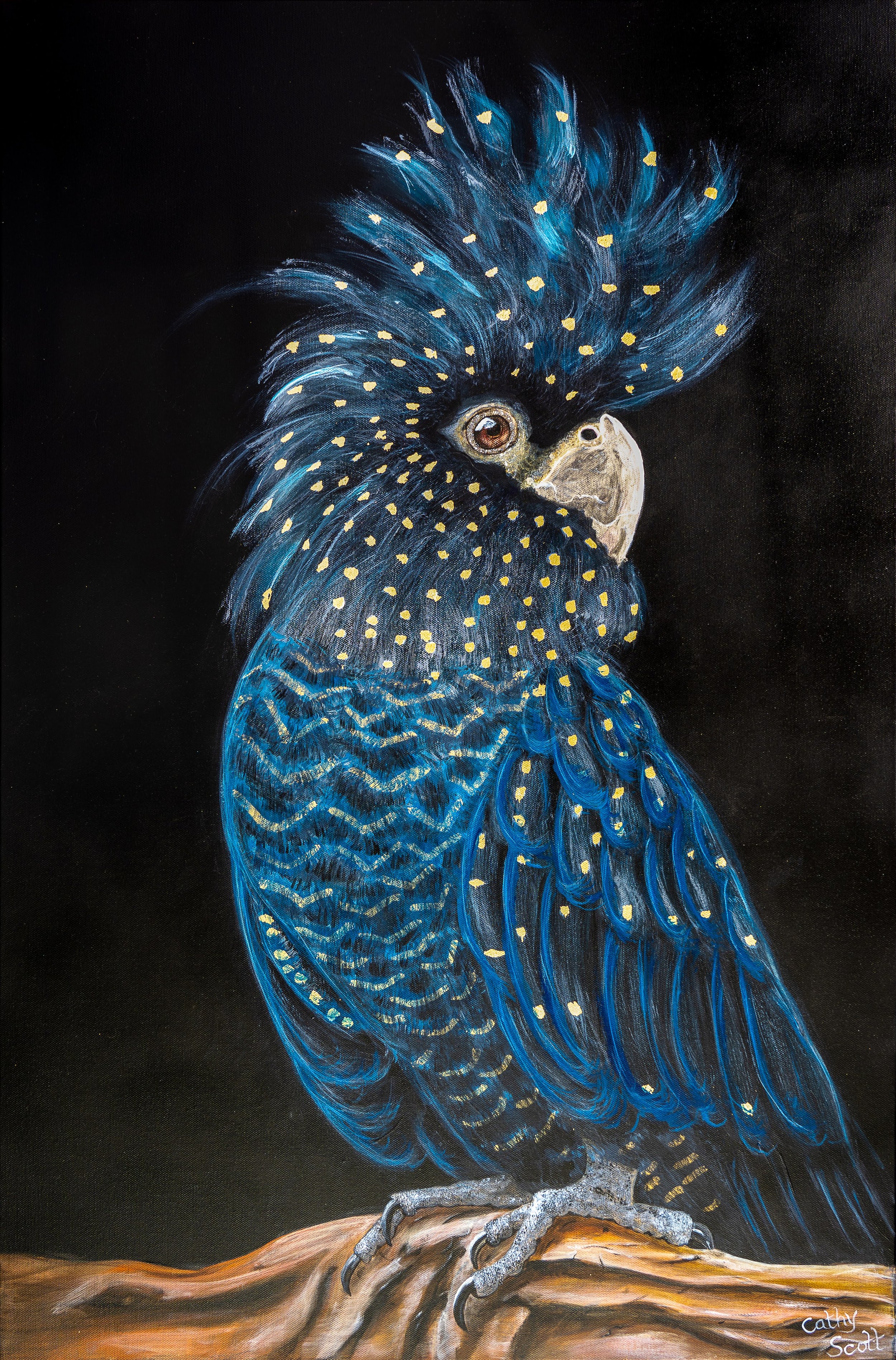 Black Cockatoo