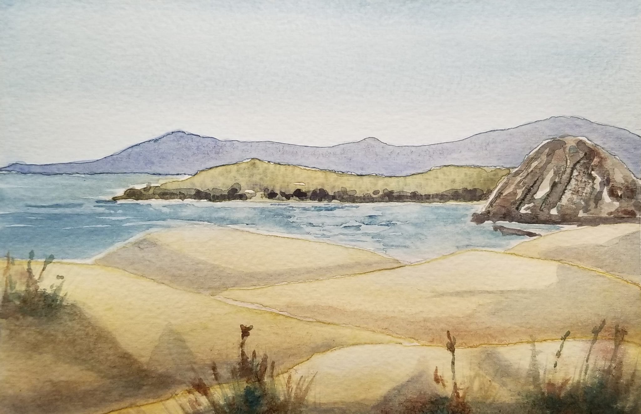 Central Coast Beginner Watercolor Workshop