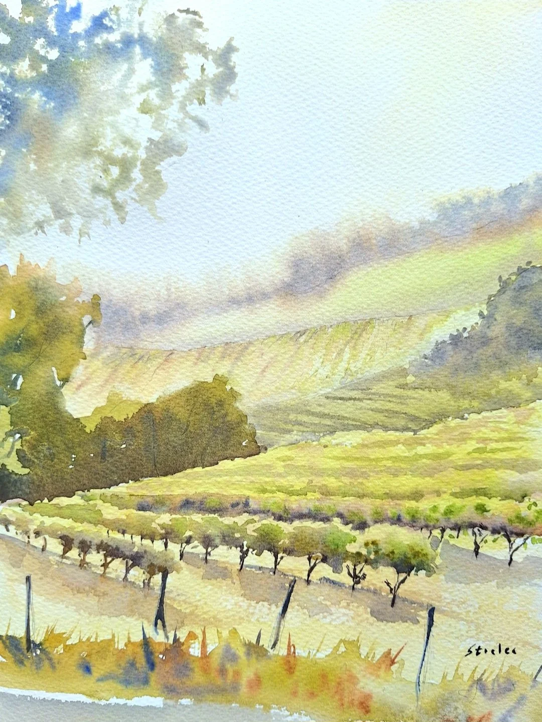 Brush & Bottle: Vineyard Road - Castoro Cellars