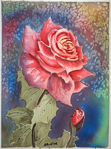 Brush & Bottle, Evening Rose in Watercolor