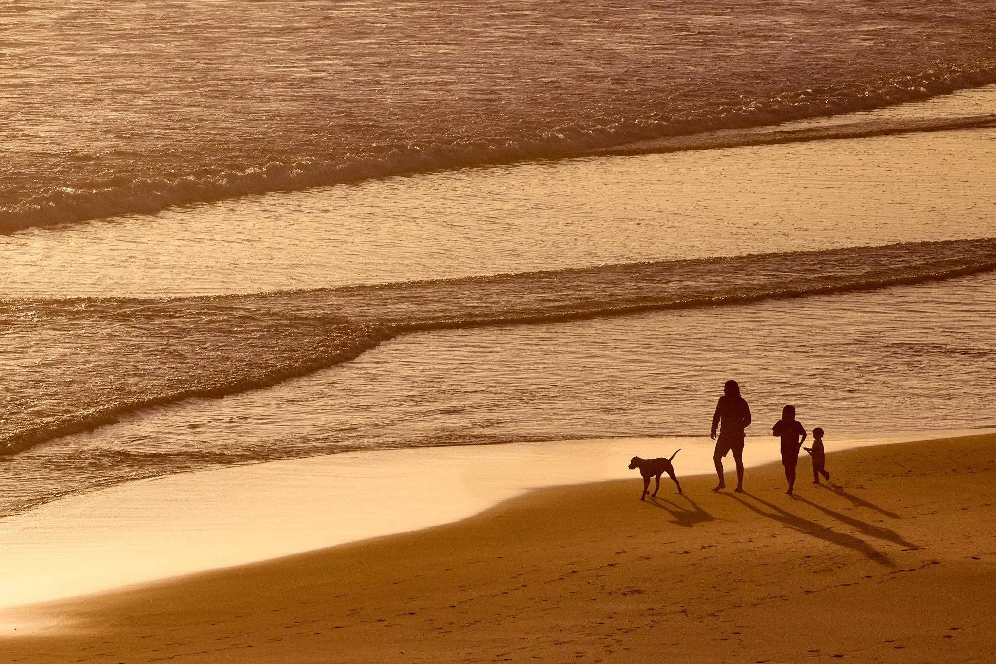 Beach Family