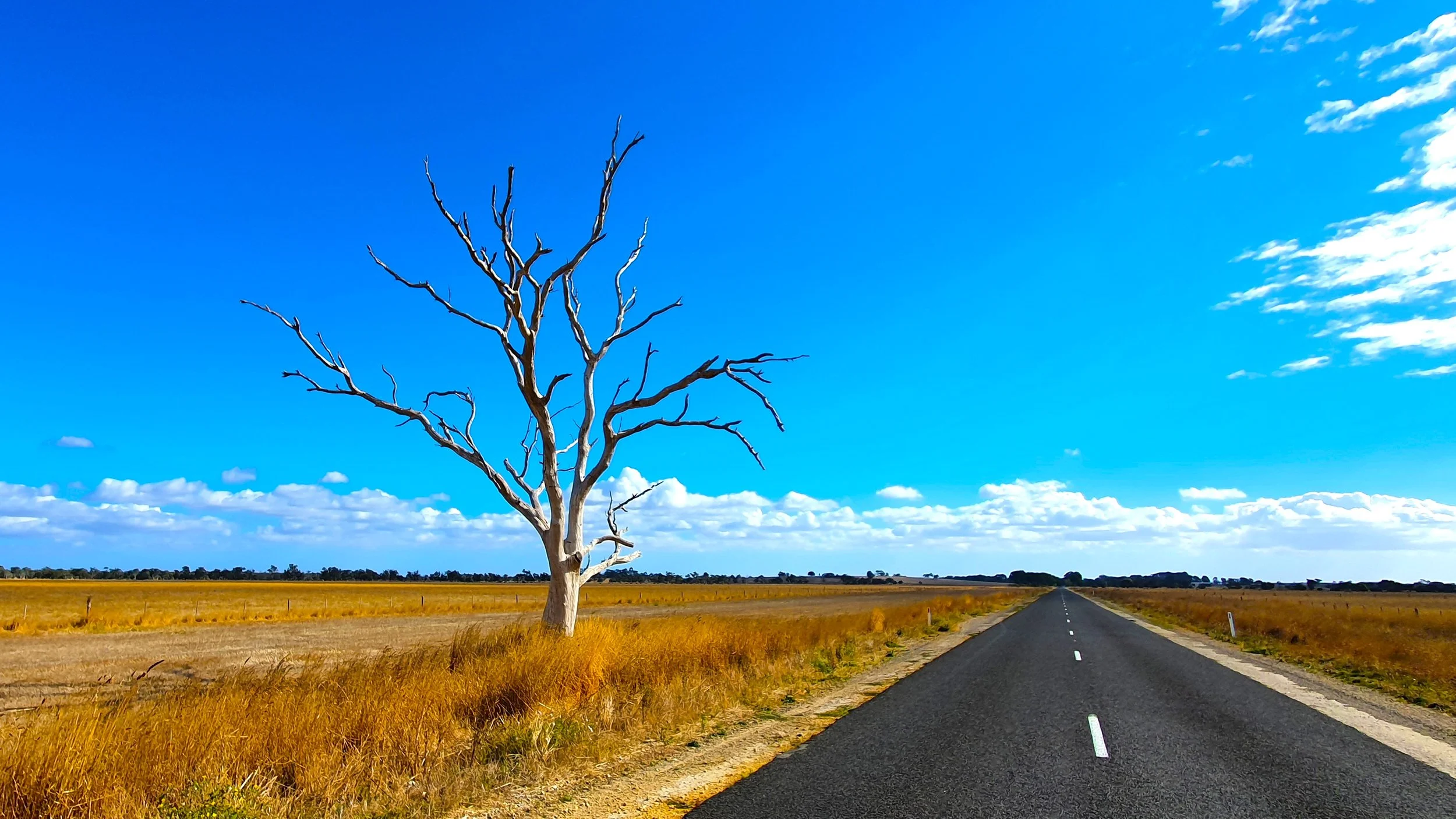Open Road