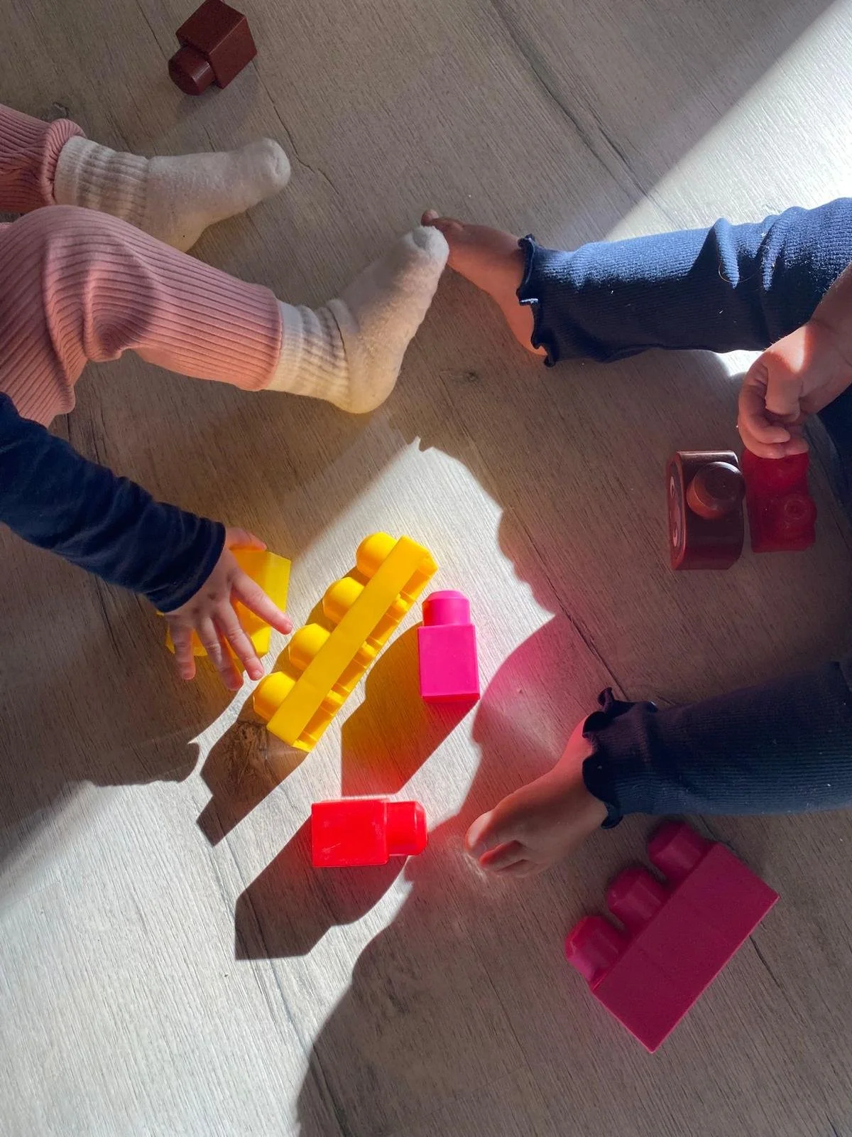 WhatsApp Image 2026-02-03 at 08.27.52 (8).jpeg